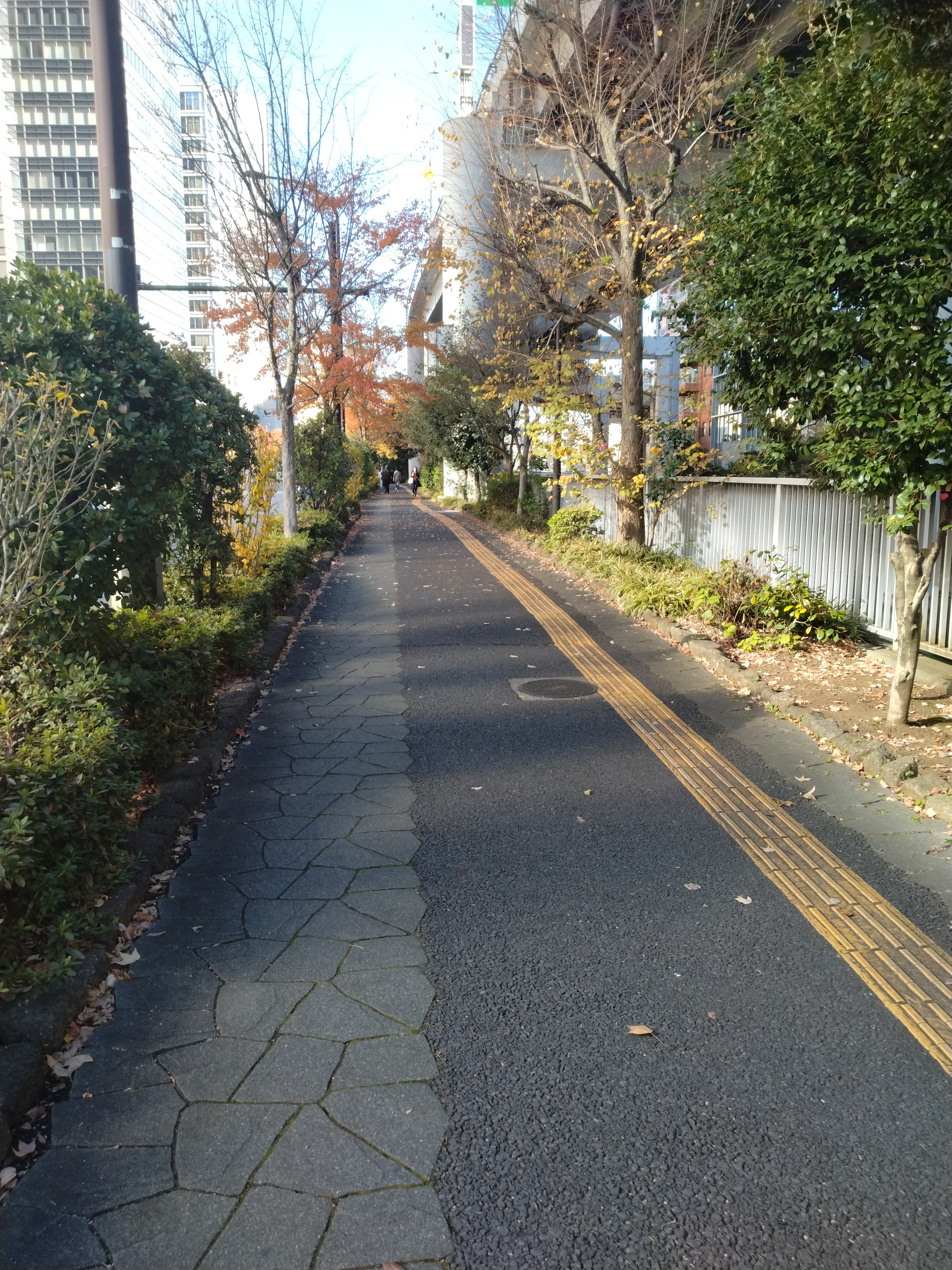 外濠沿いのカーブと街路樹が写っています。
