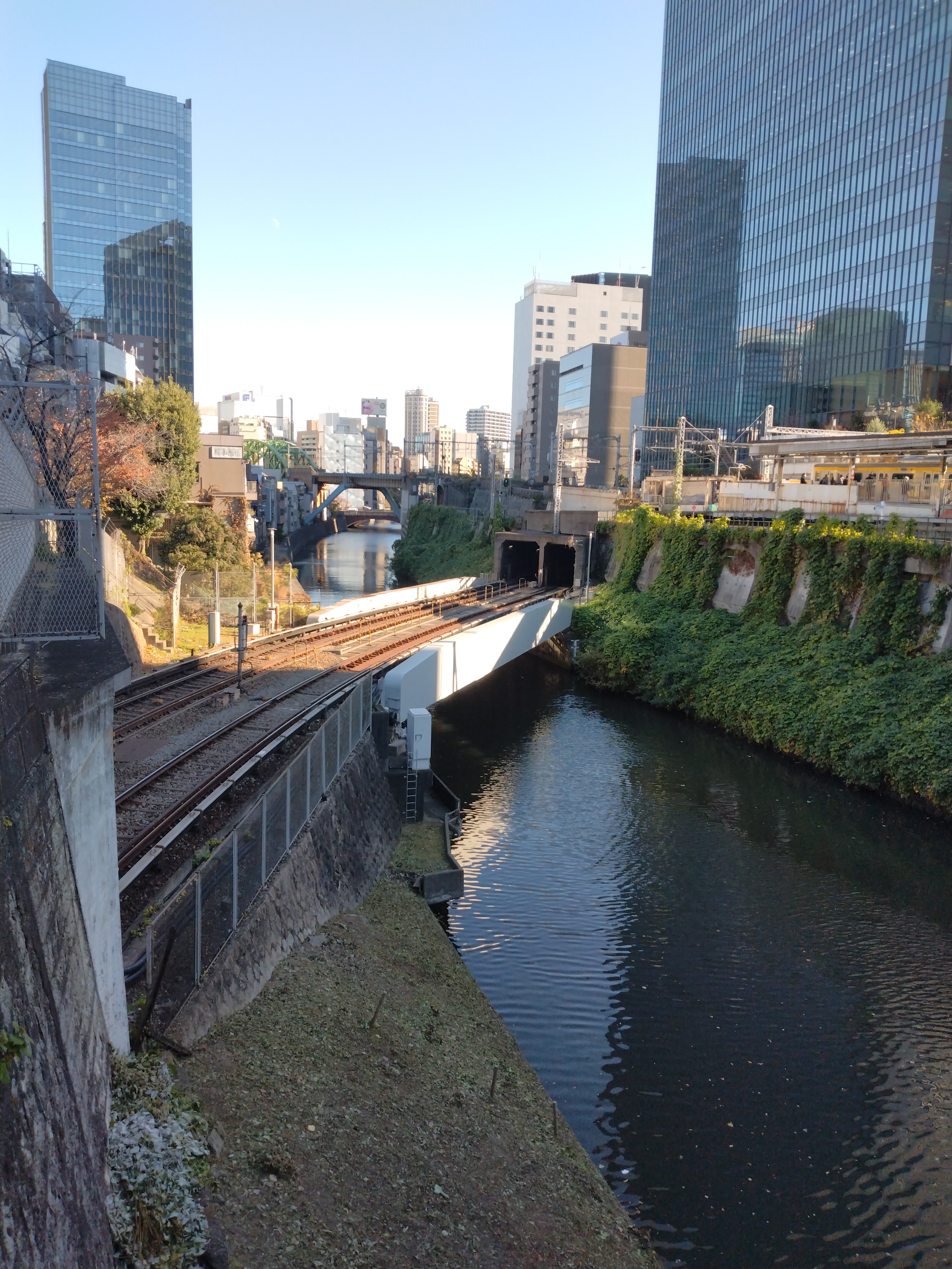 水辺沿いの写真です。