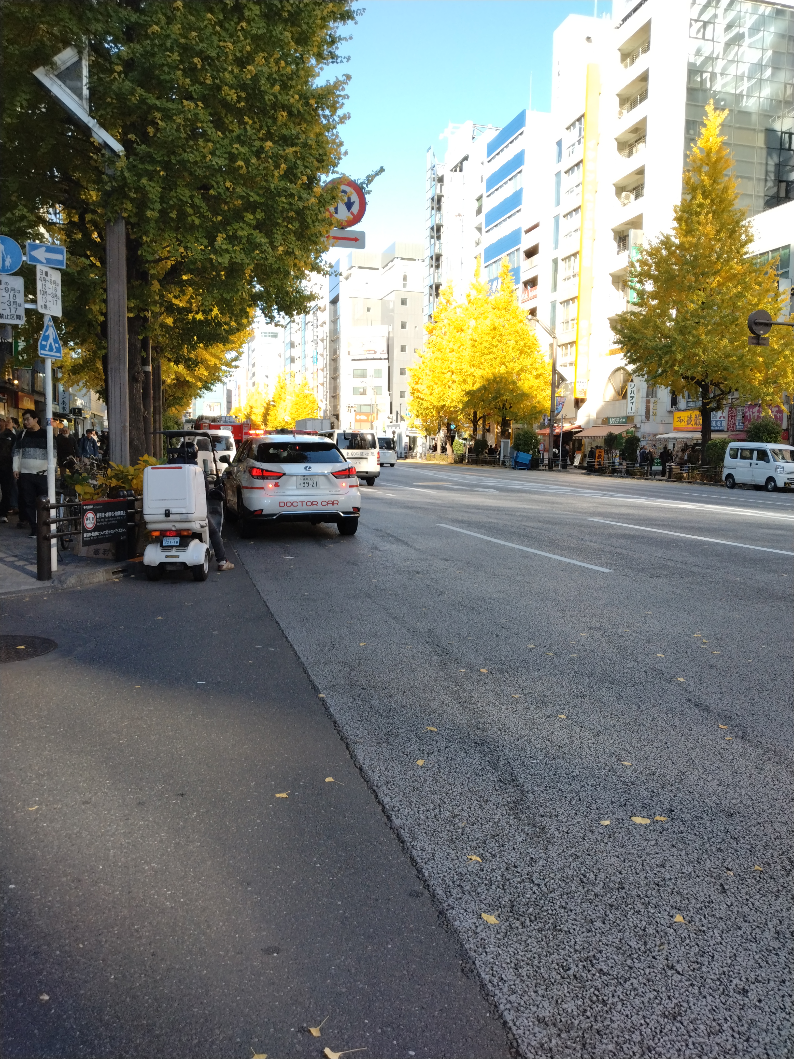 交通量の多い大通りの様子です。