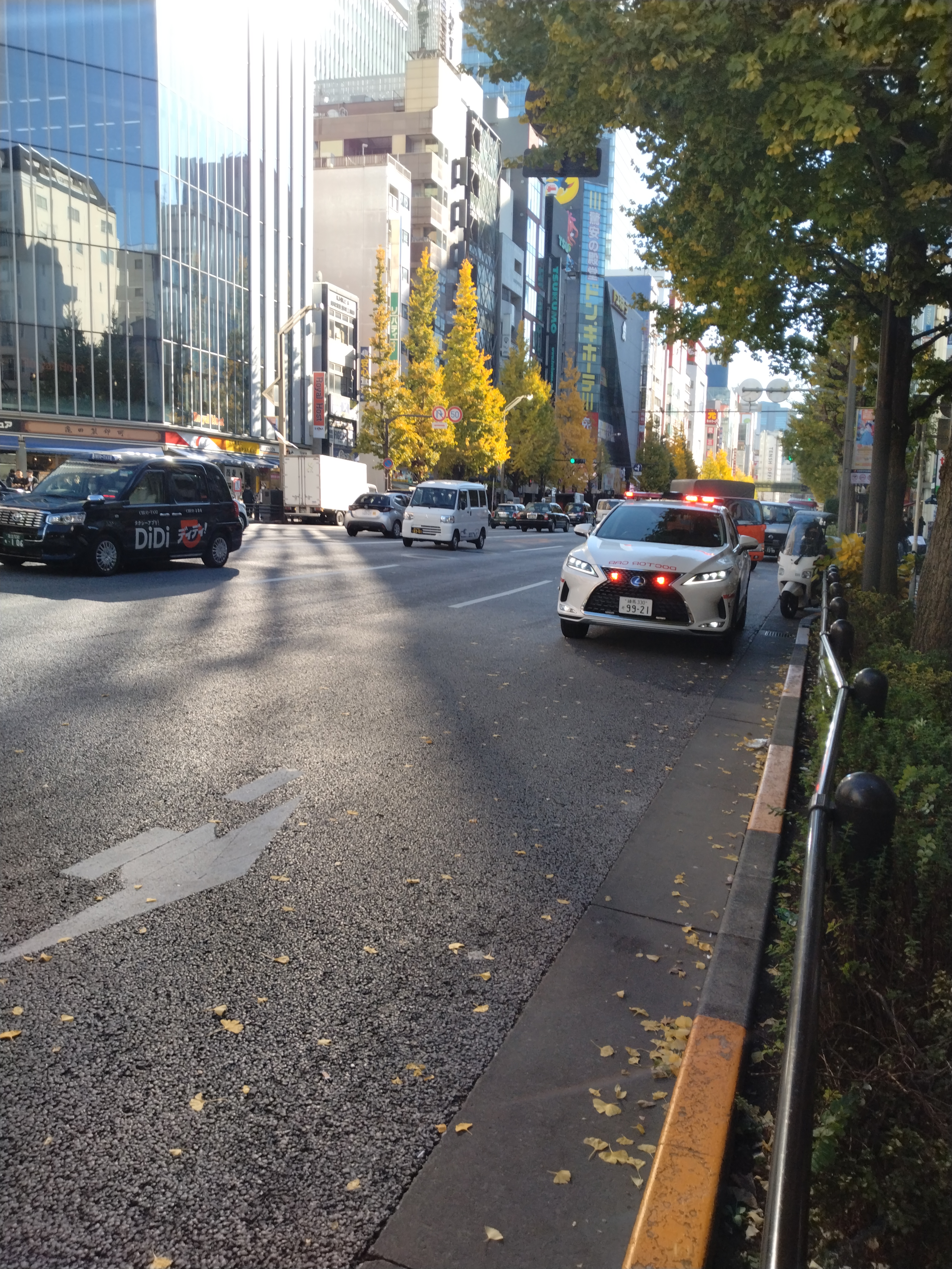 歩道の広さと交通動線がわかります。