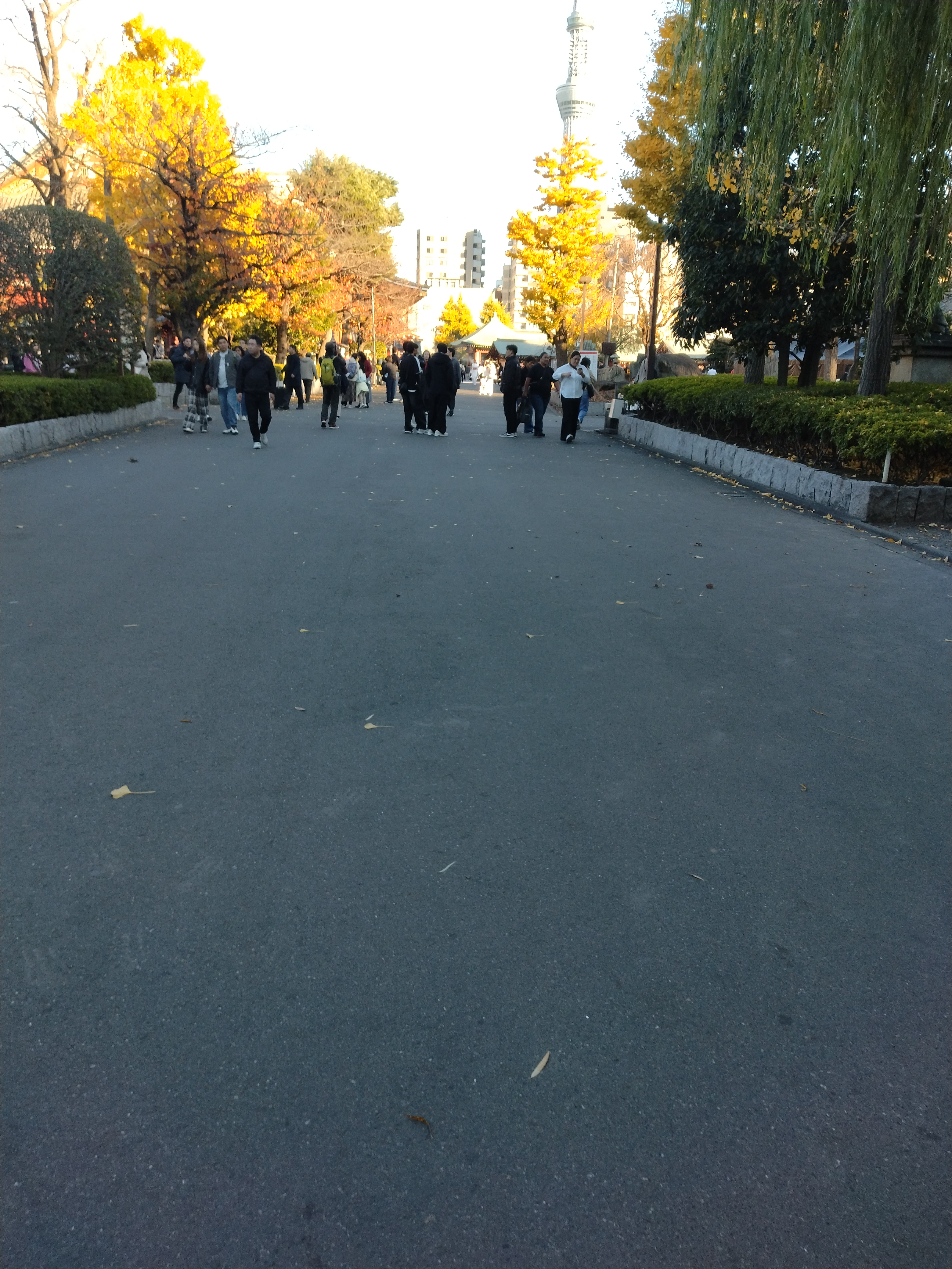 広い視界の道路です。