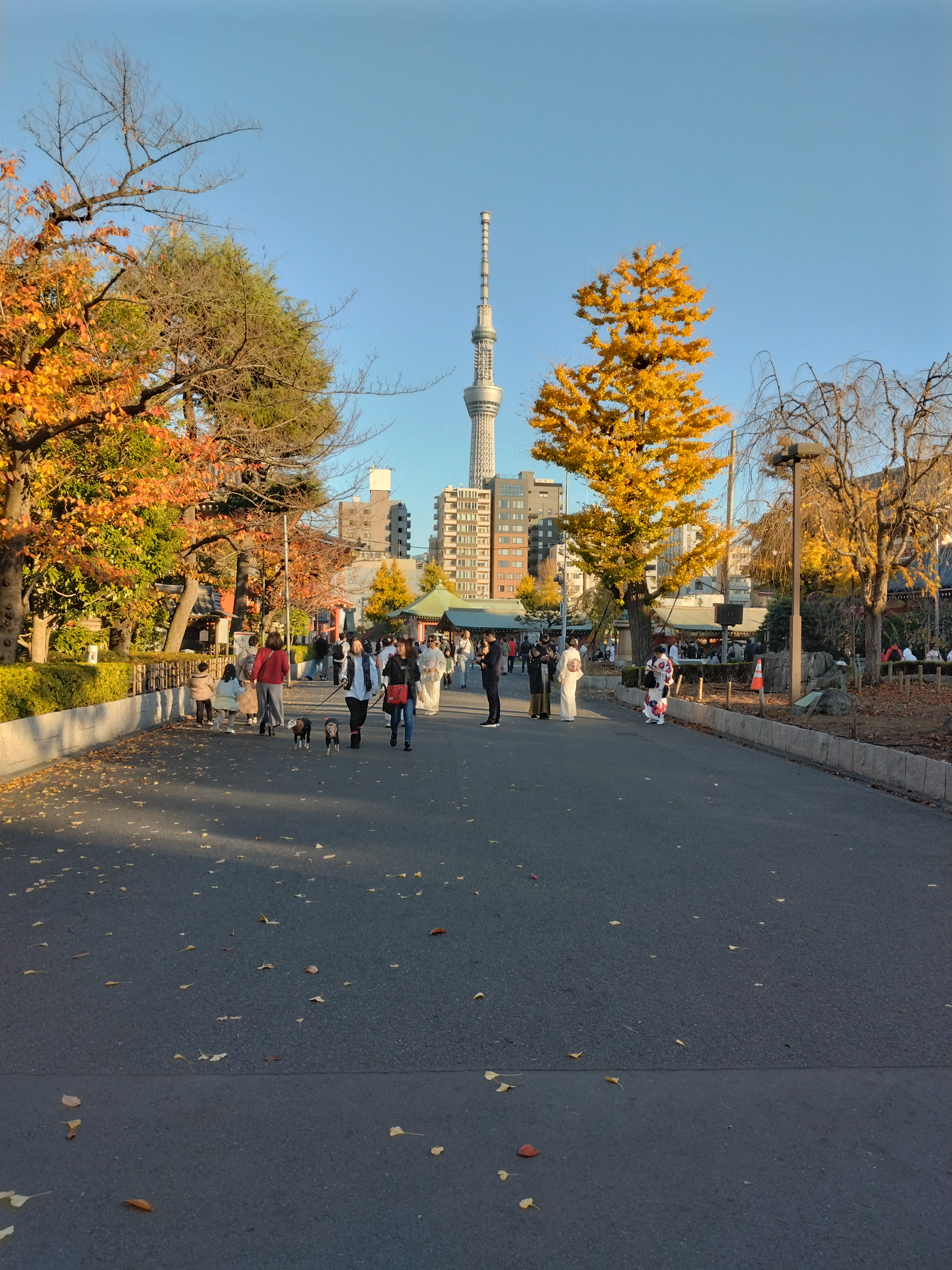 歩行者が多い観光地の歩道です。