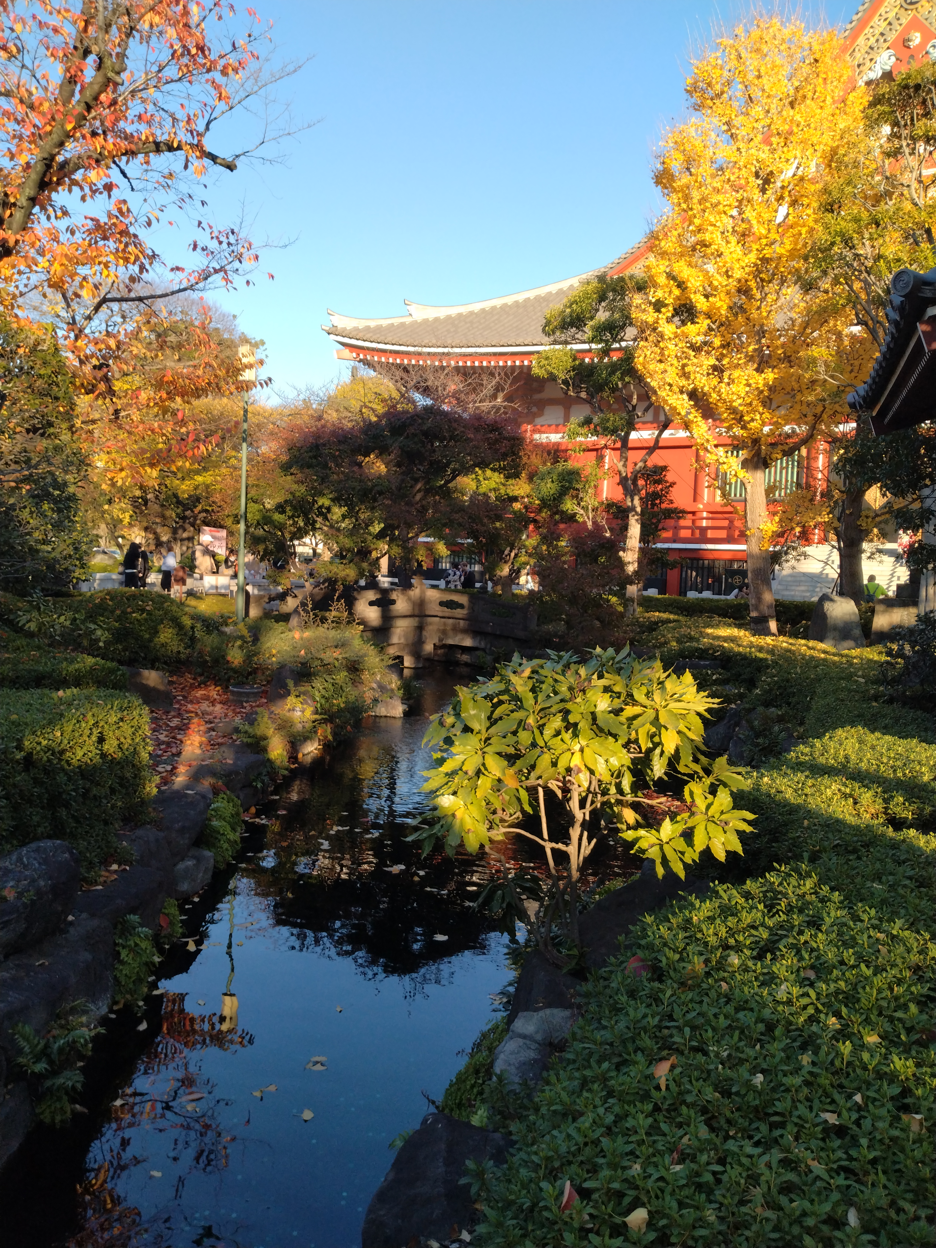 境内の紅葉風景です。