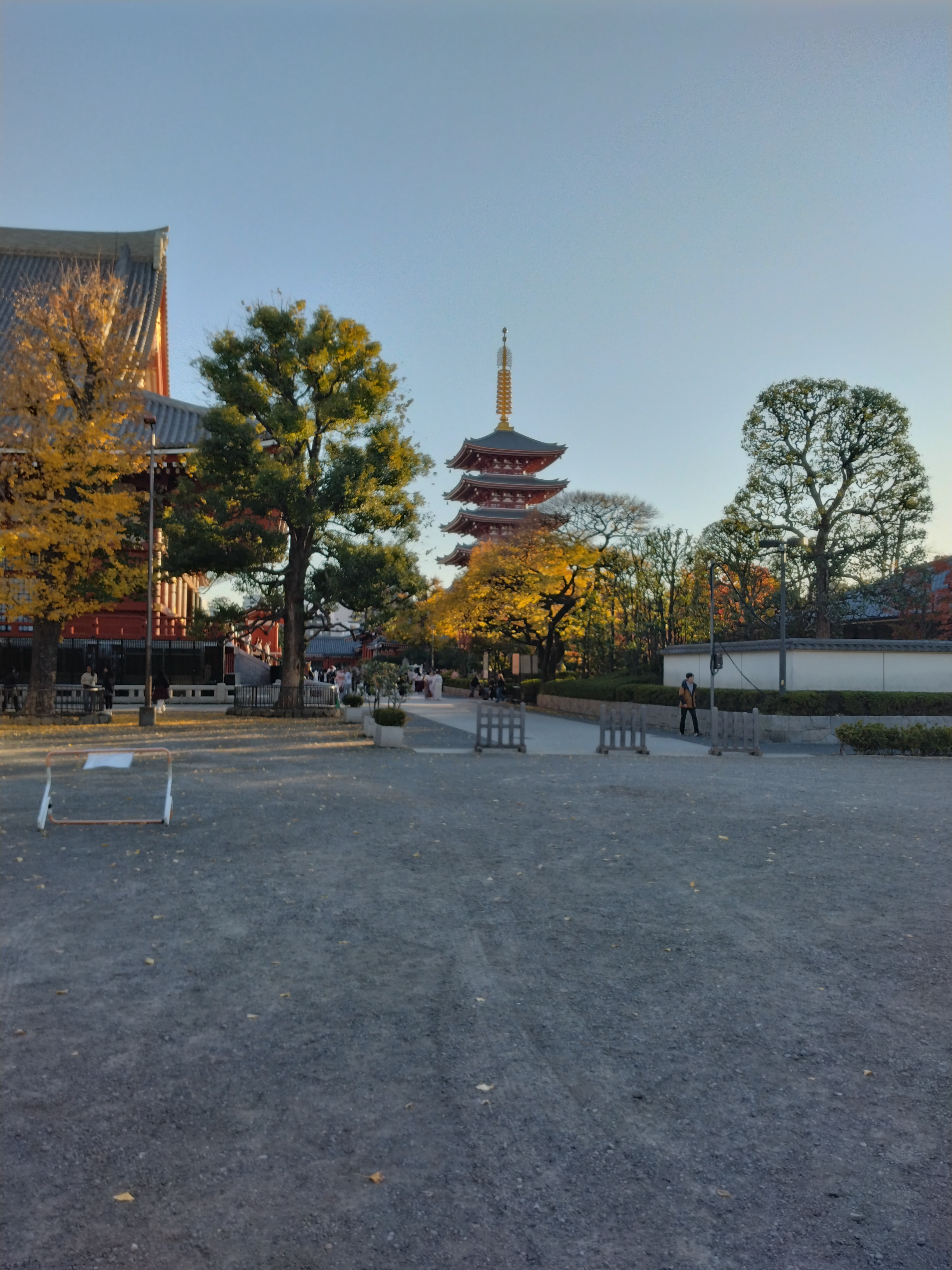 季節の風景です。