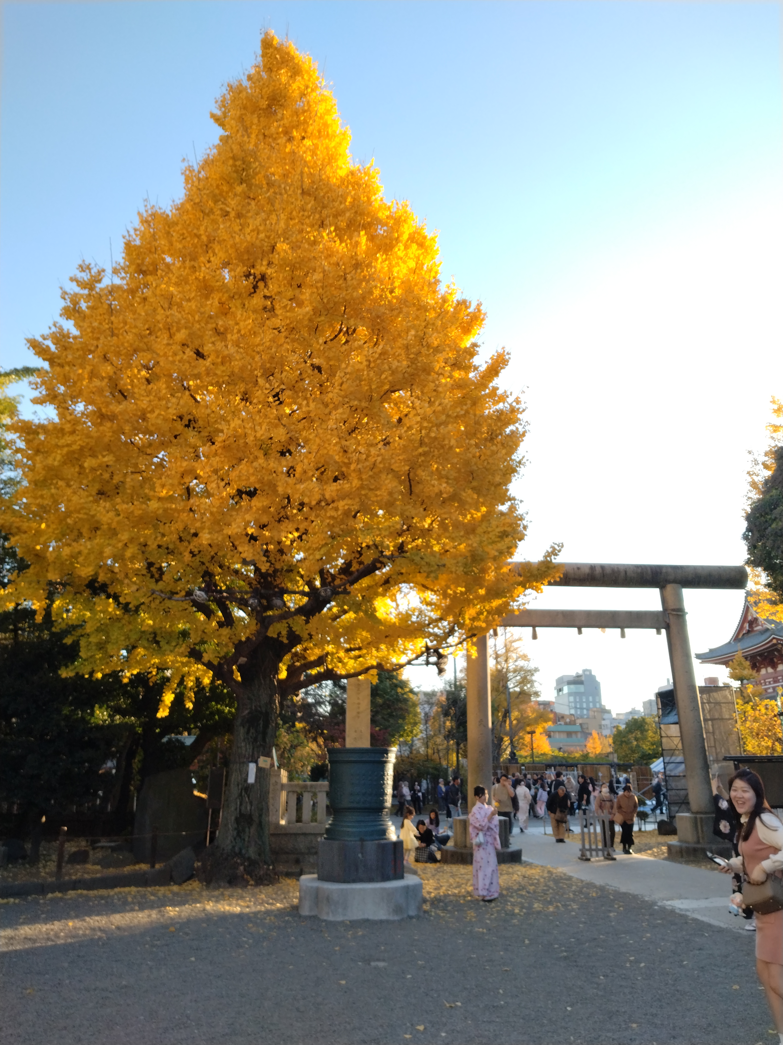 雷門前の歩行者混雑エリアです。