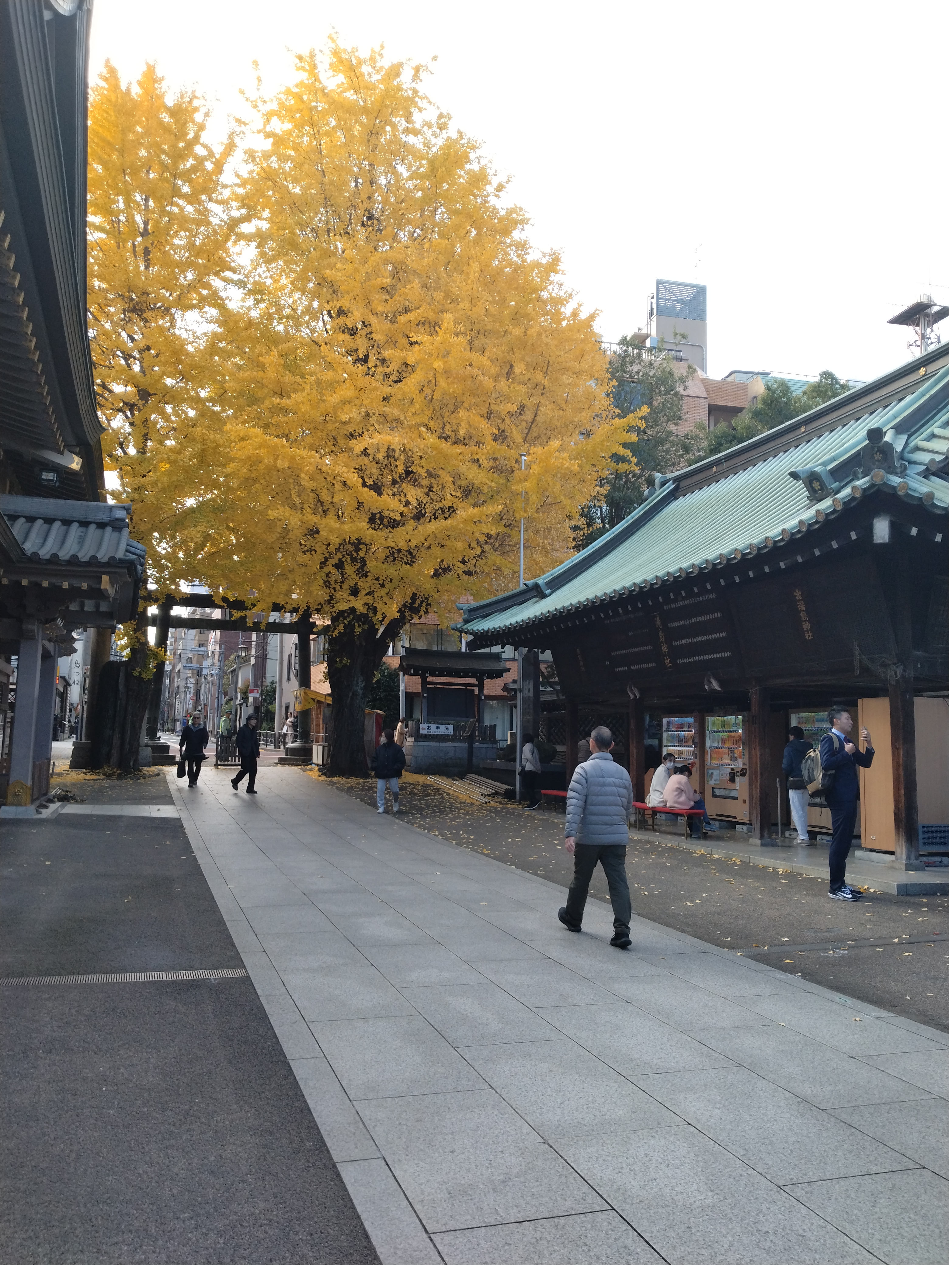 湯島天神の拝殿外観です。