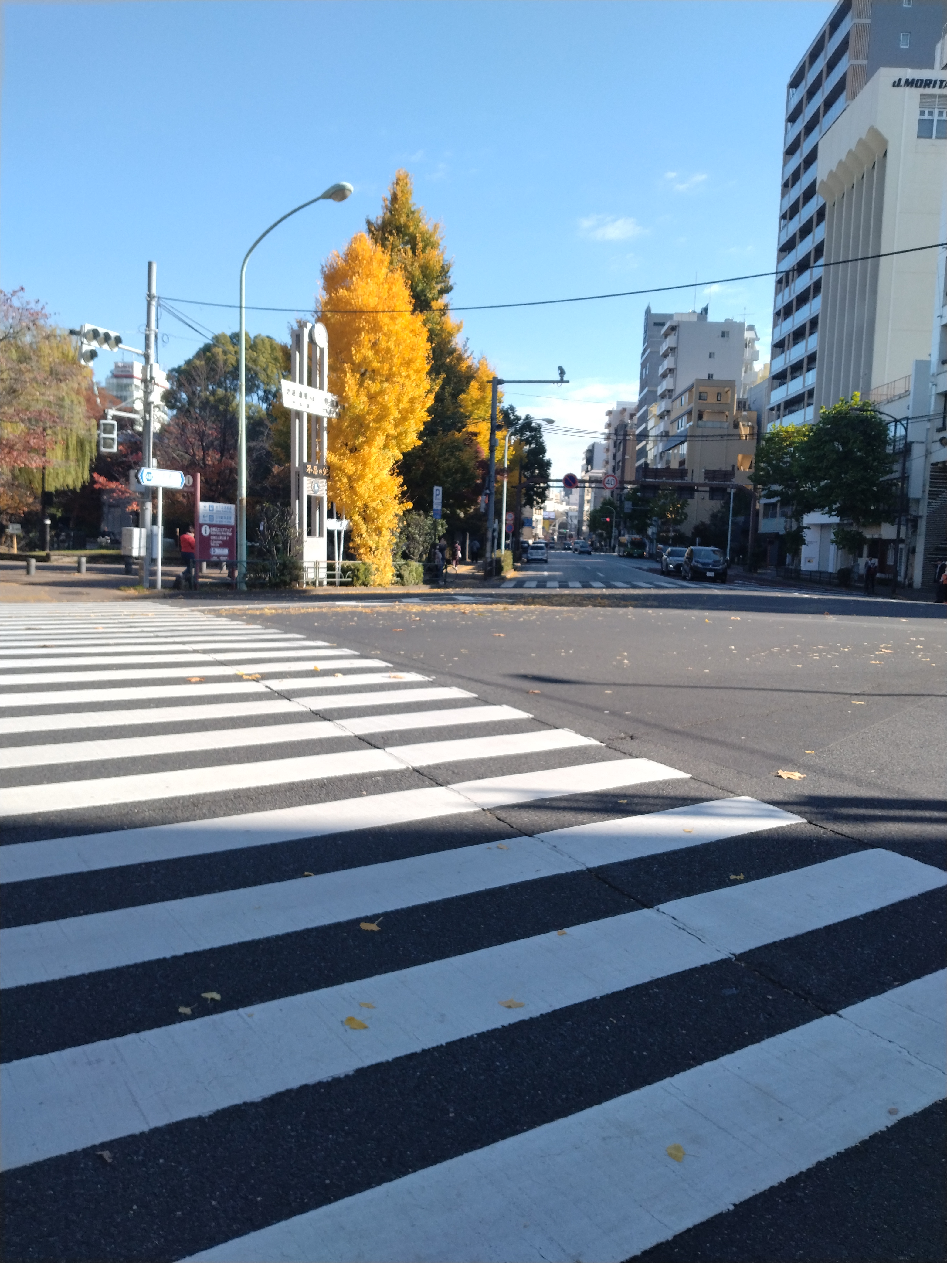 上野公園近くの横断歩道が写っています。