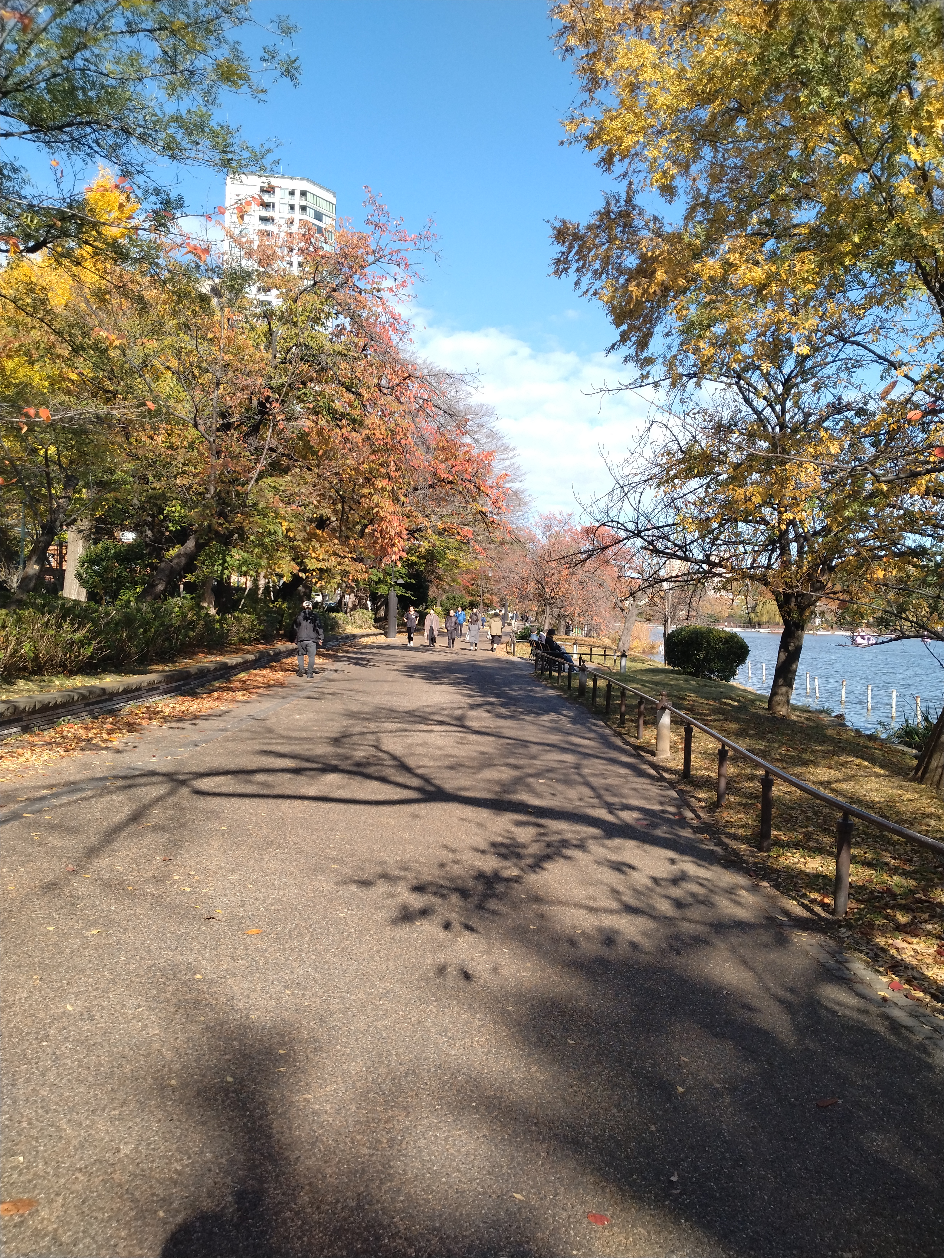 池沿いの歩道写真です。