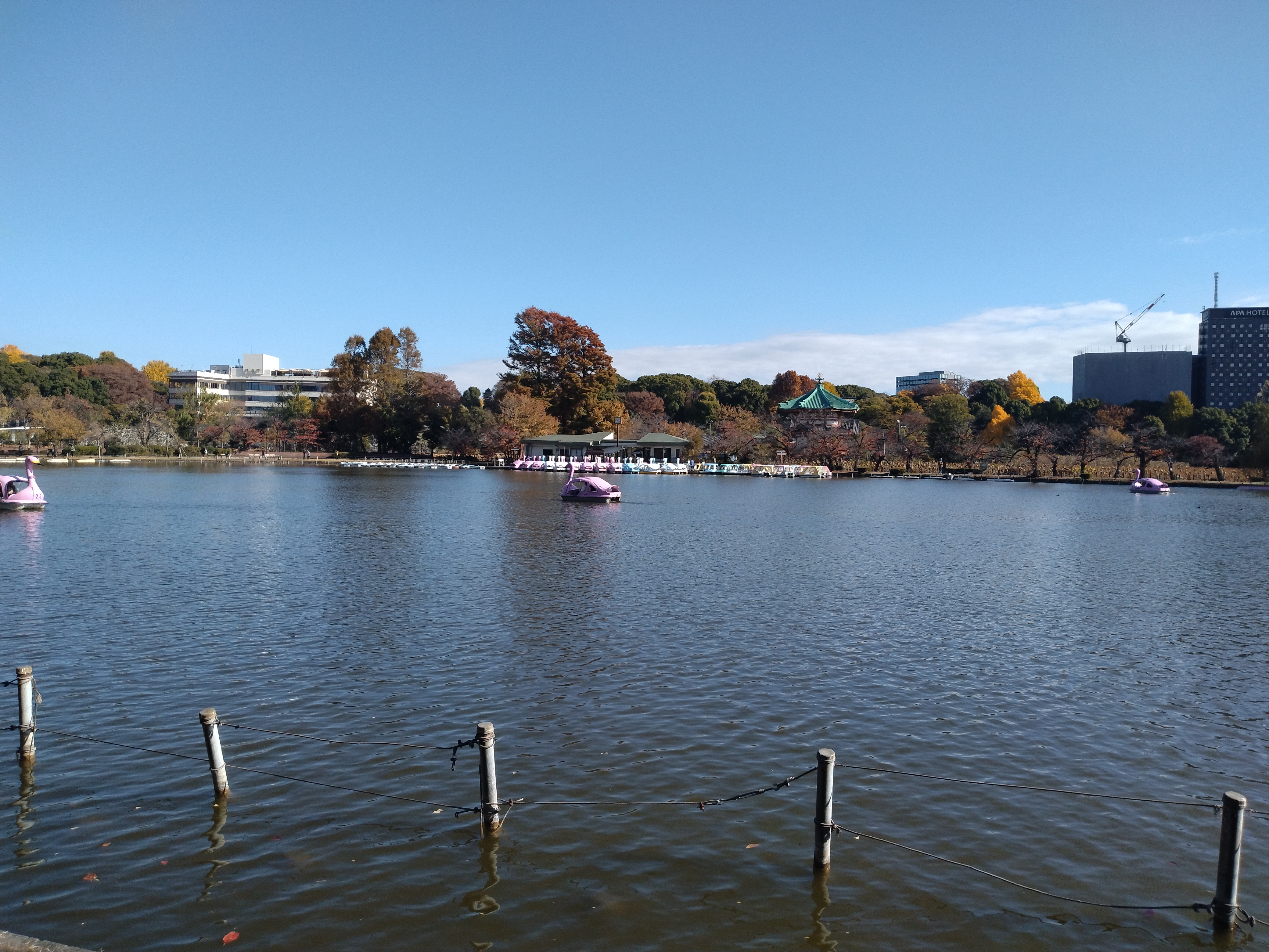 晴天の池が写っています。