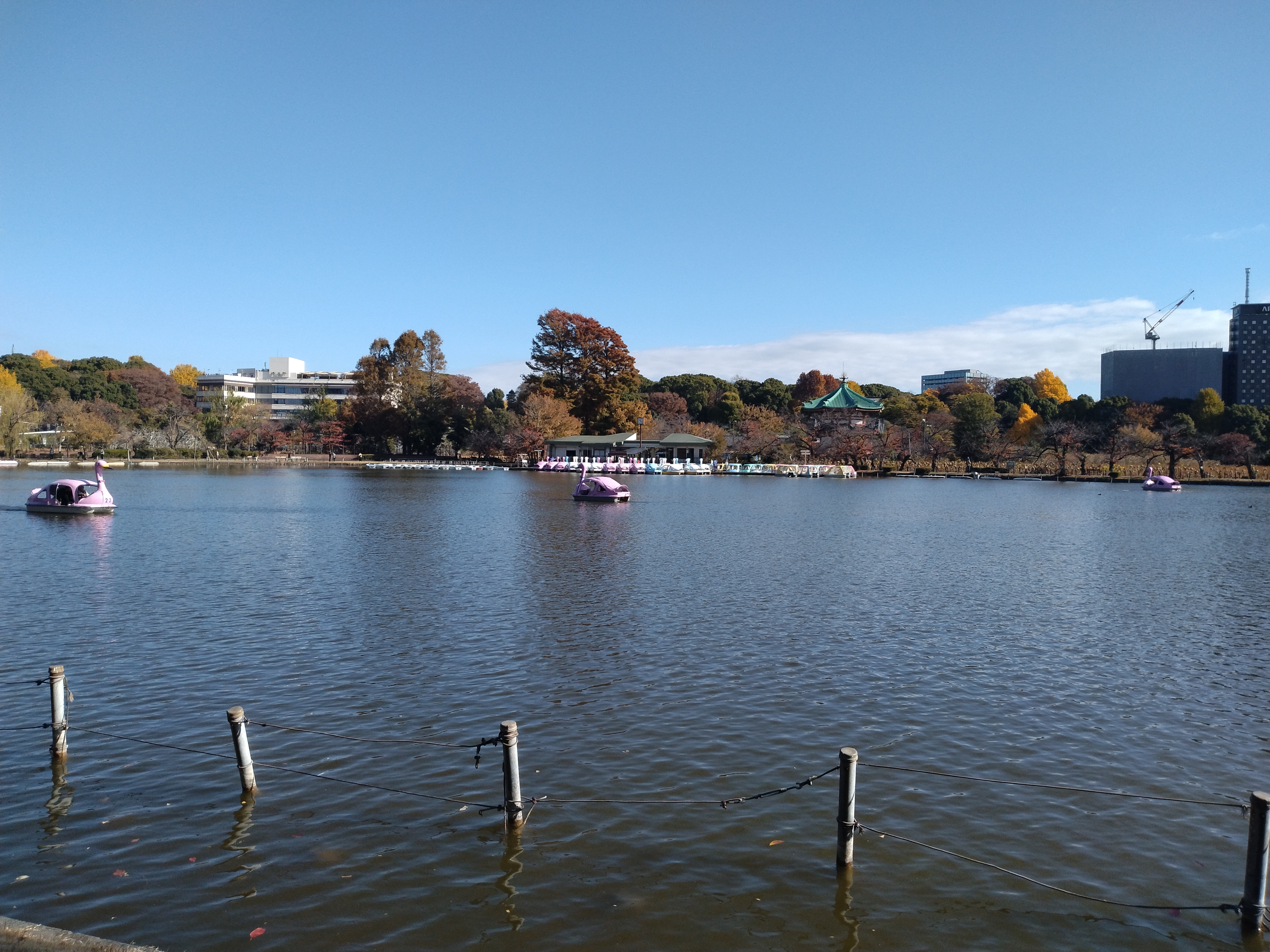 池越しに街並みが見える構図です。