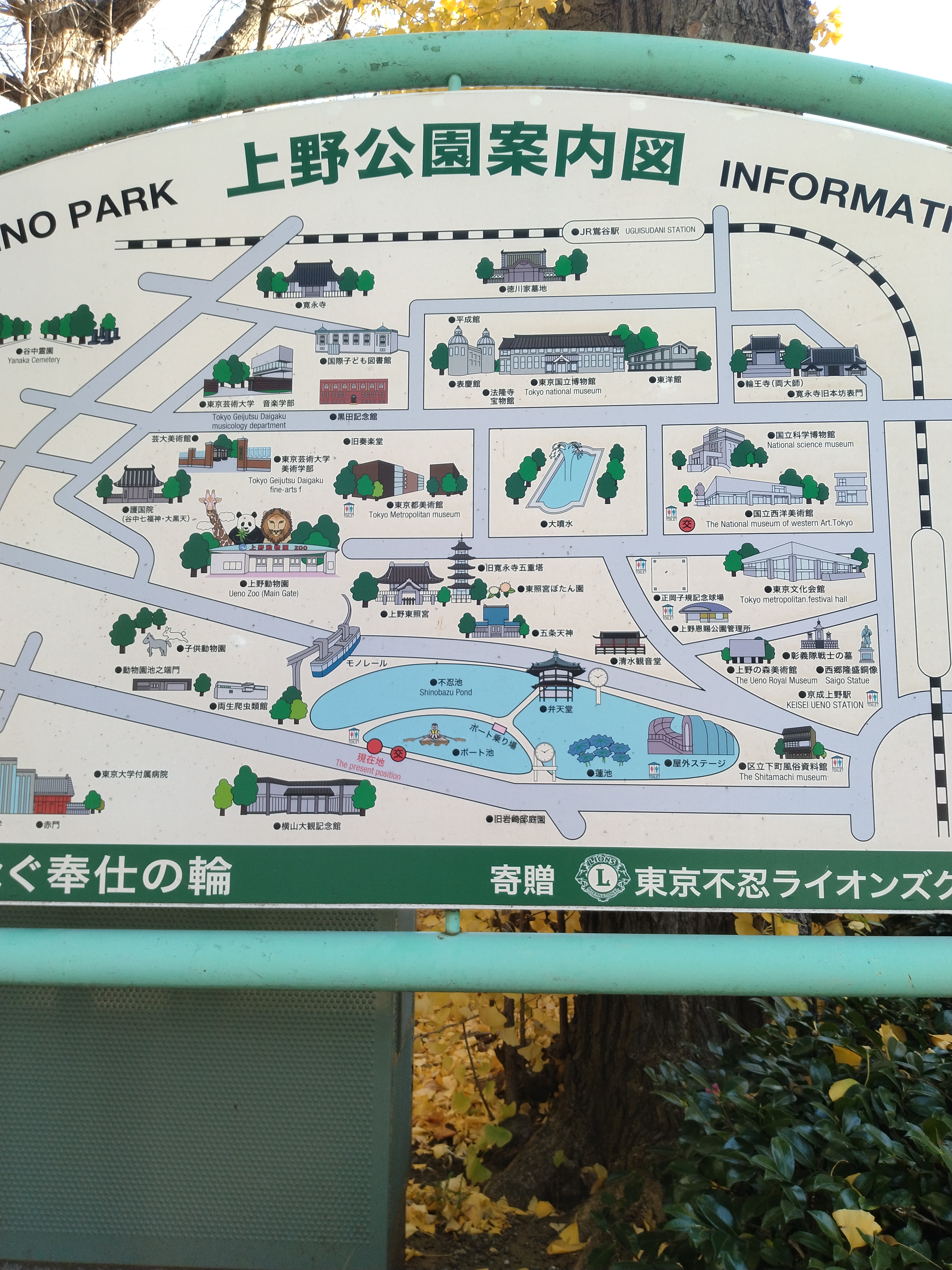 黄色い銀杏並木の歩道です。