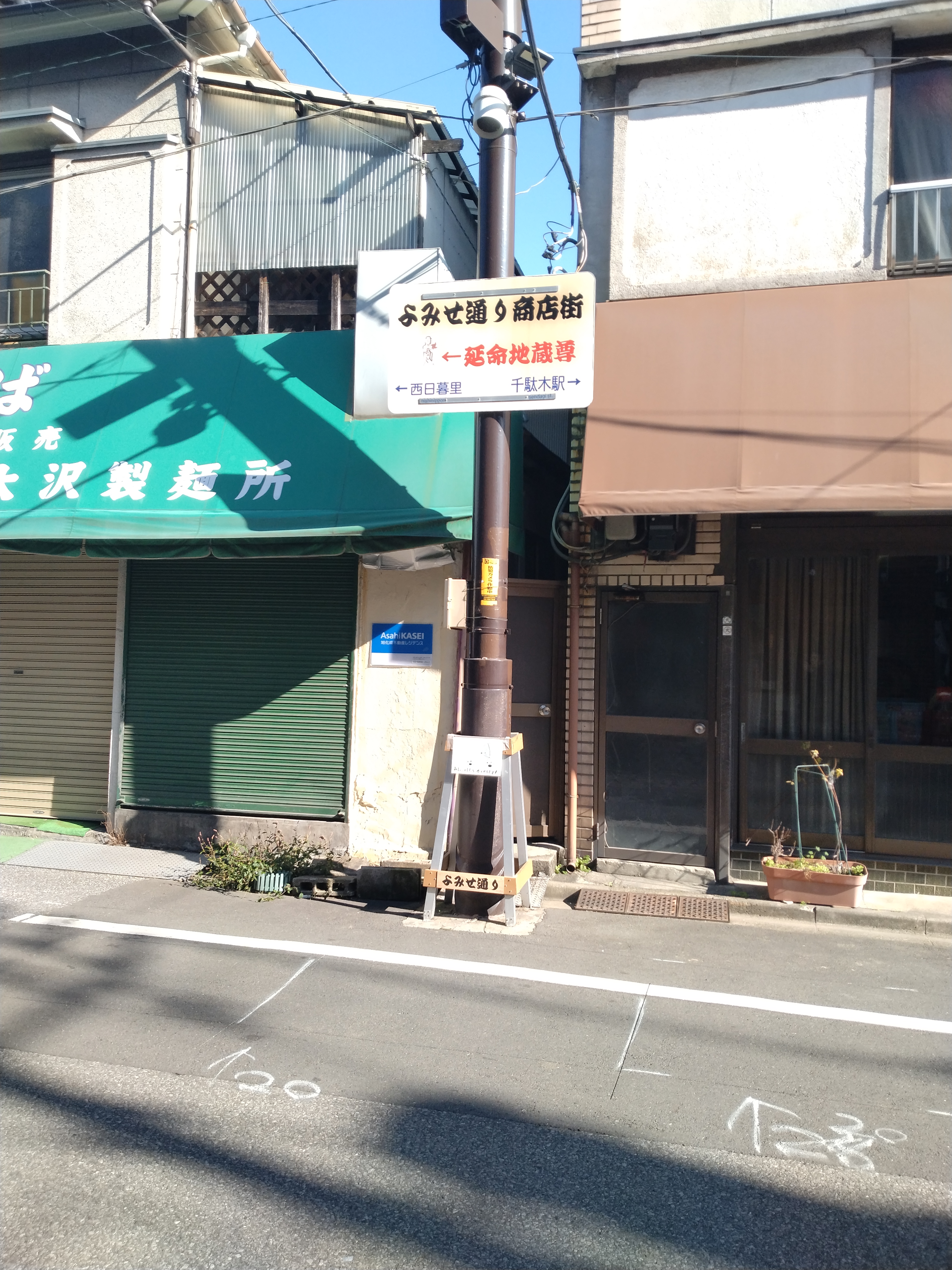 公園入口の木々が写っています。