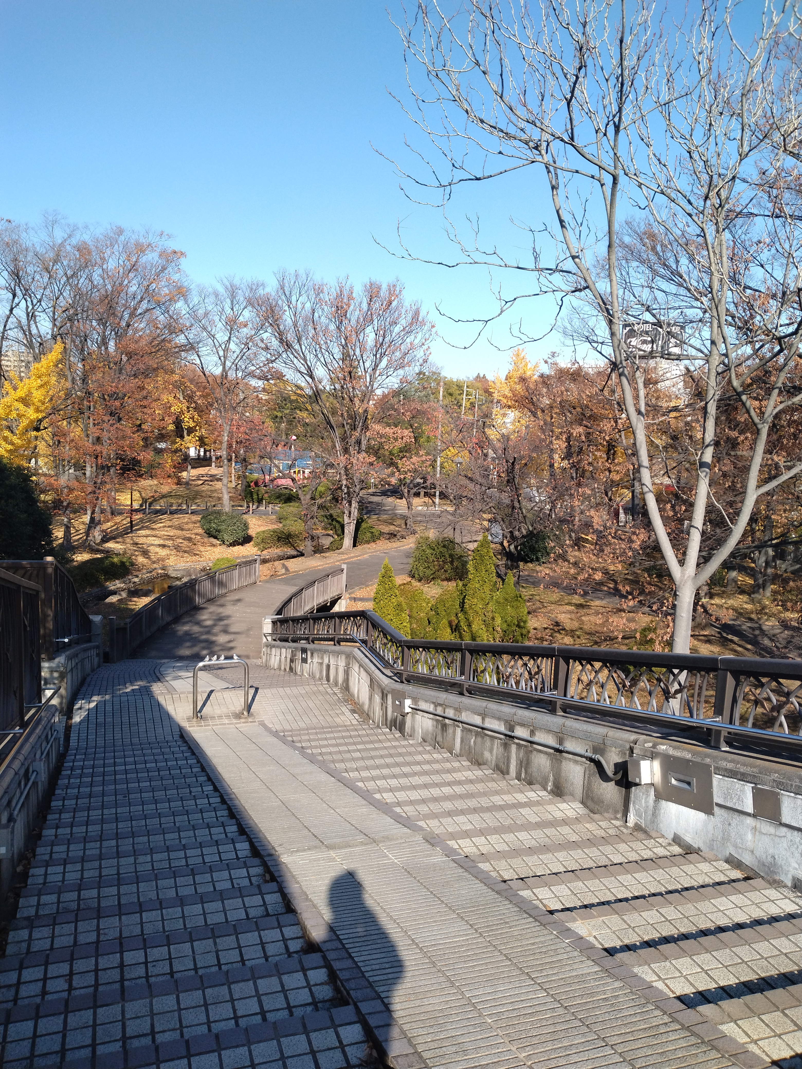 橋の手すりと木々が写っています。