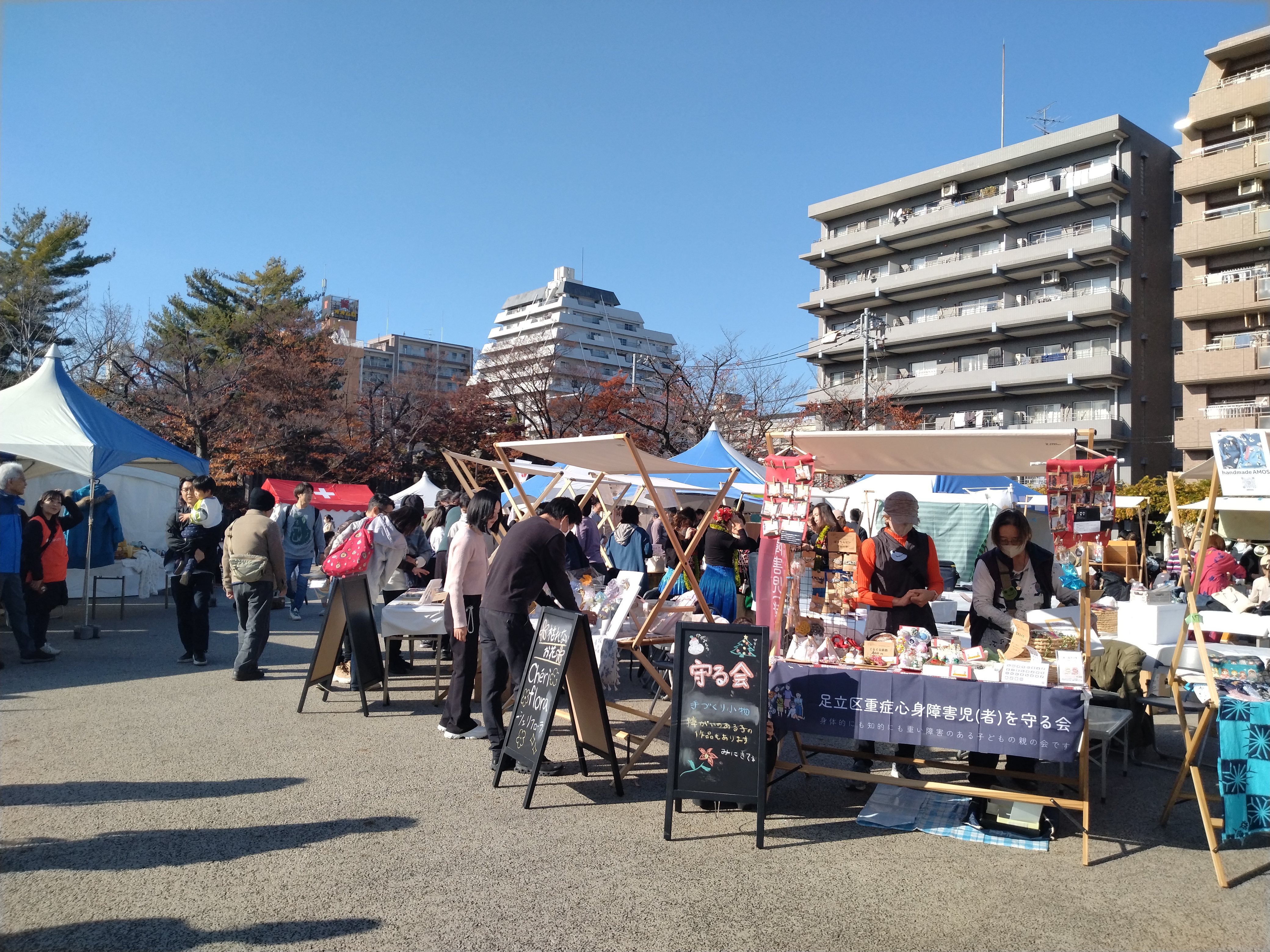 芝生の広がる公園です。