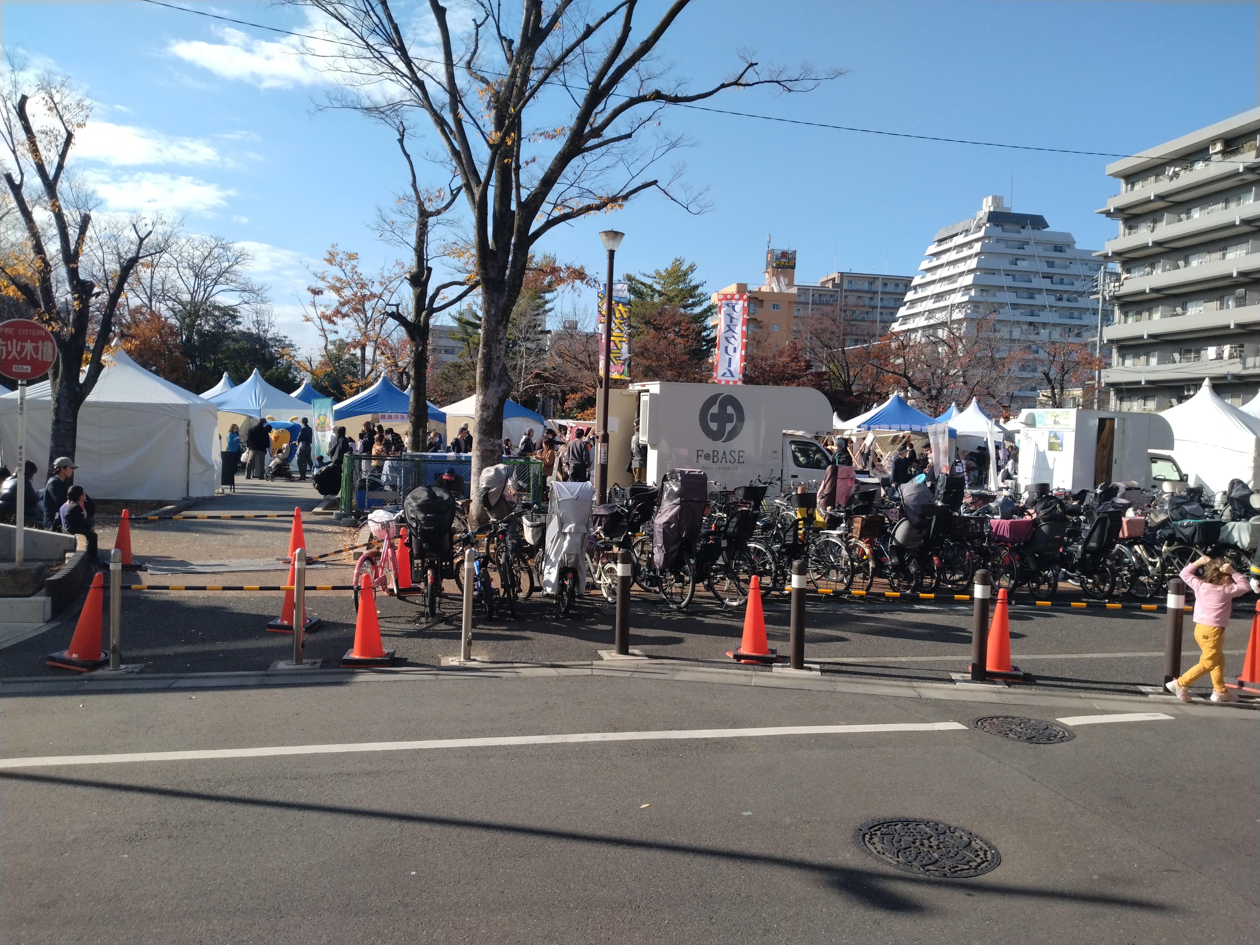 木々が並ぶ広場の写真です。