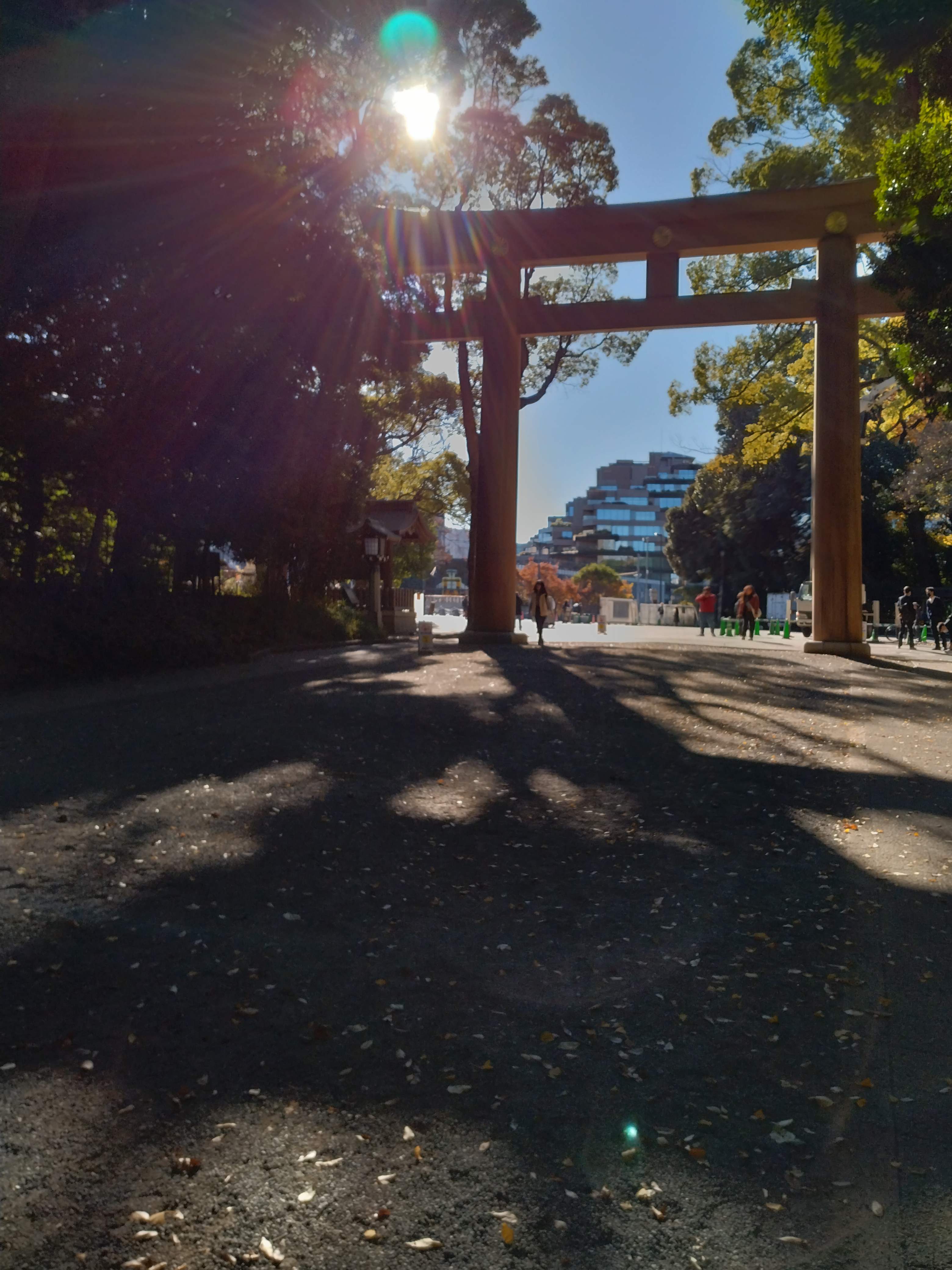 川の向こうに街並みが見えます。