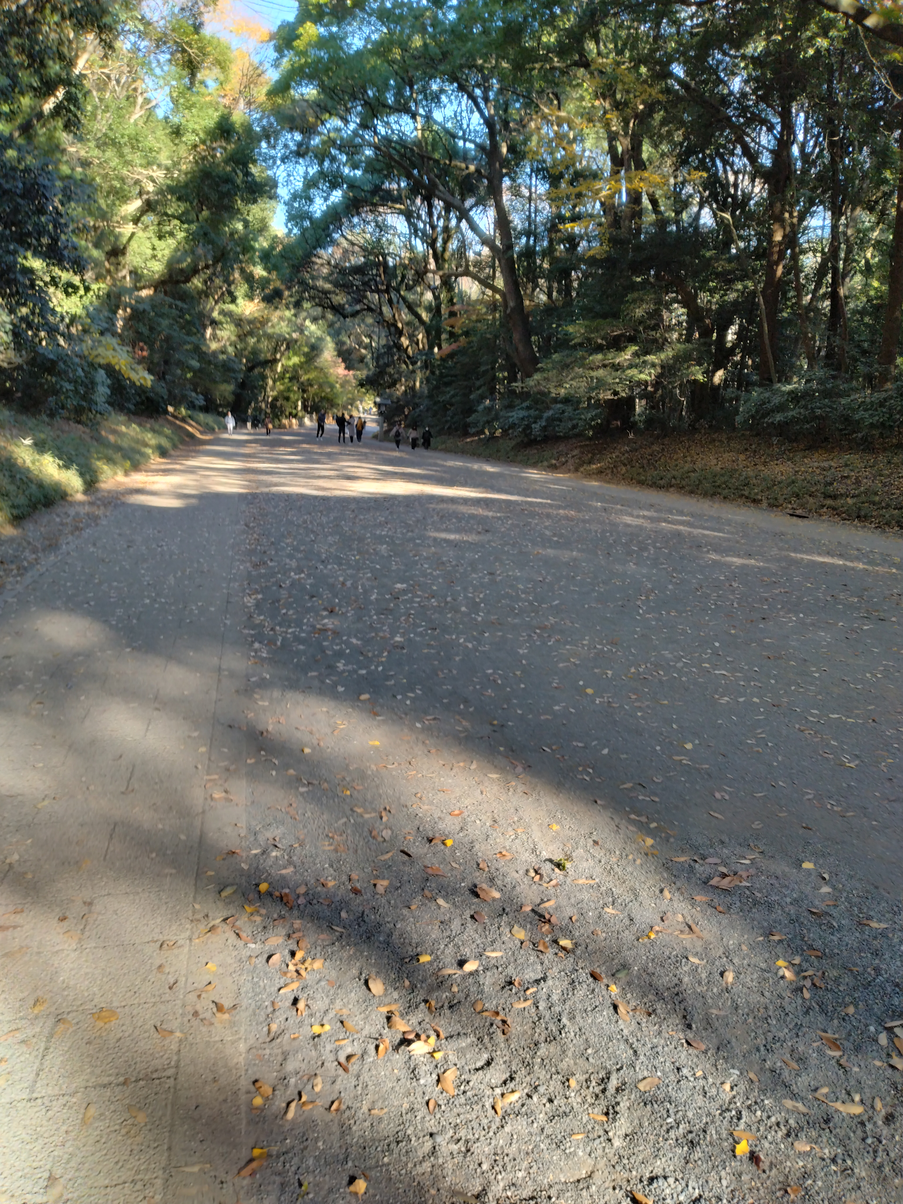 橋の上から見た街並みです。