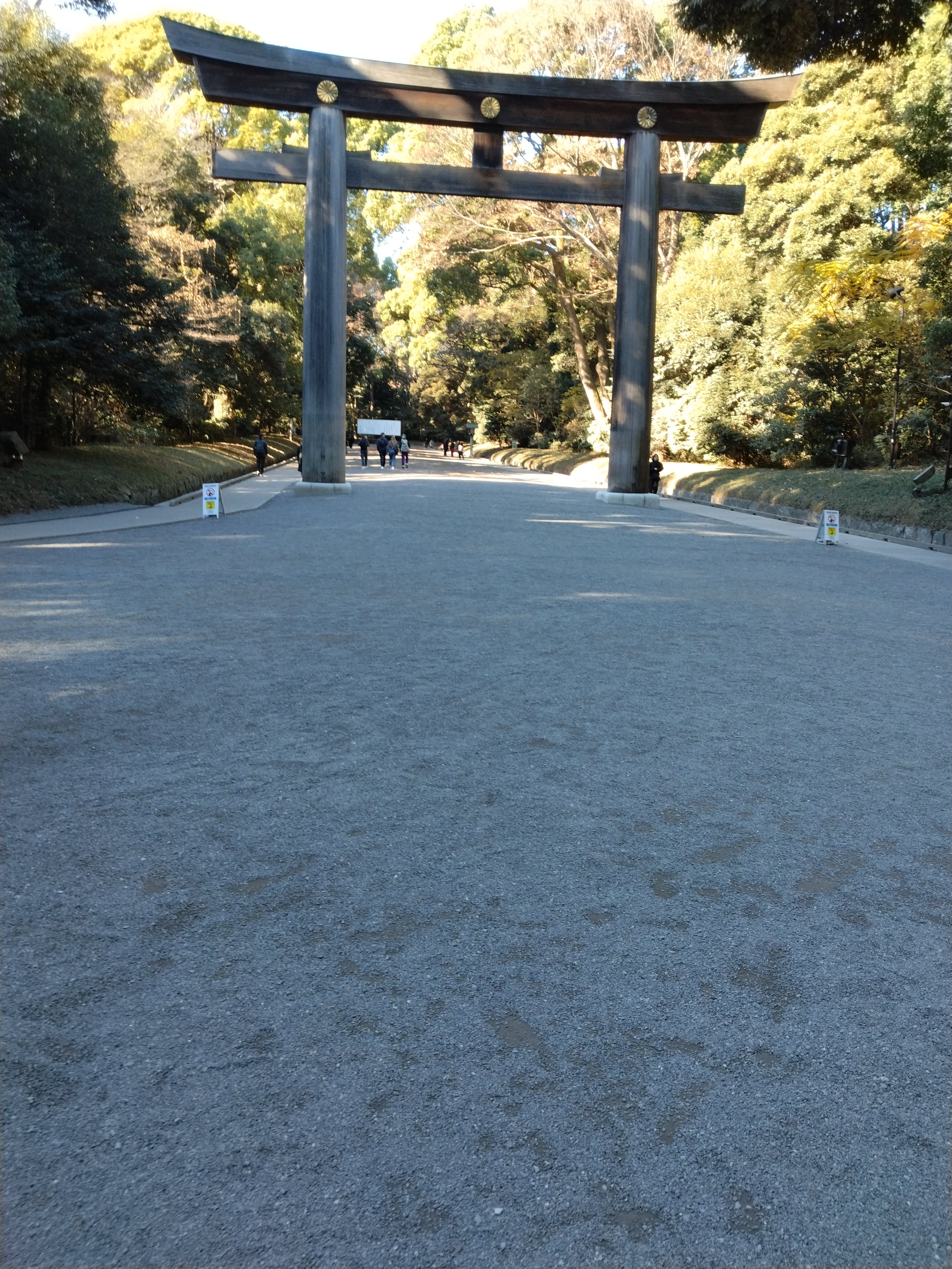 川沿いに続く歩道です。