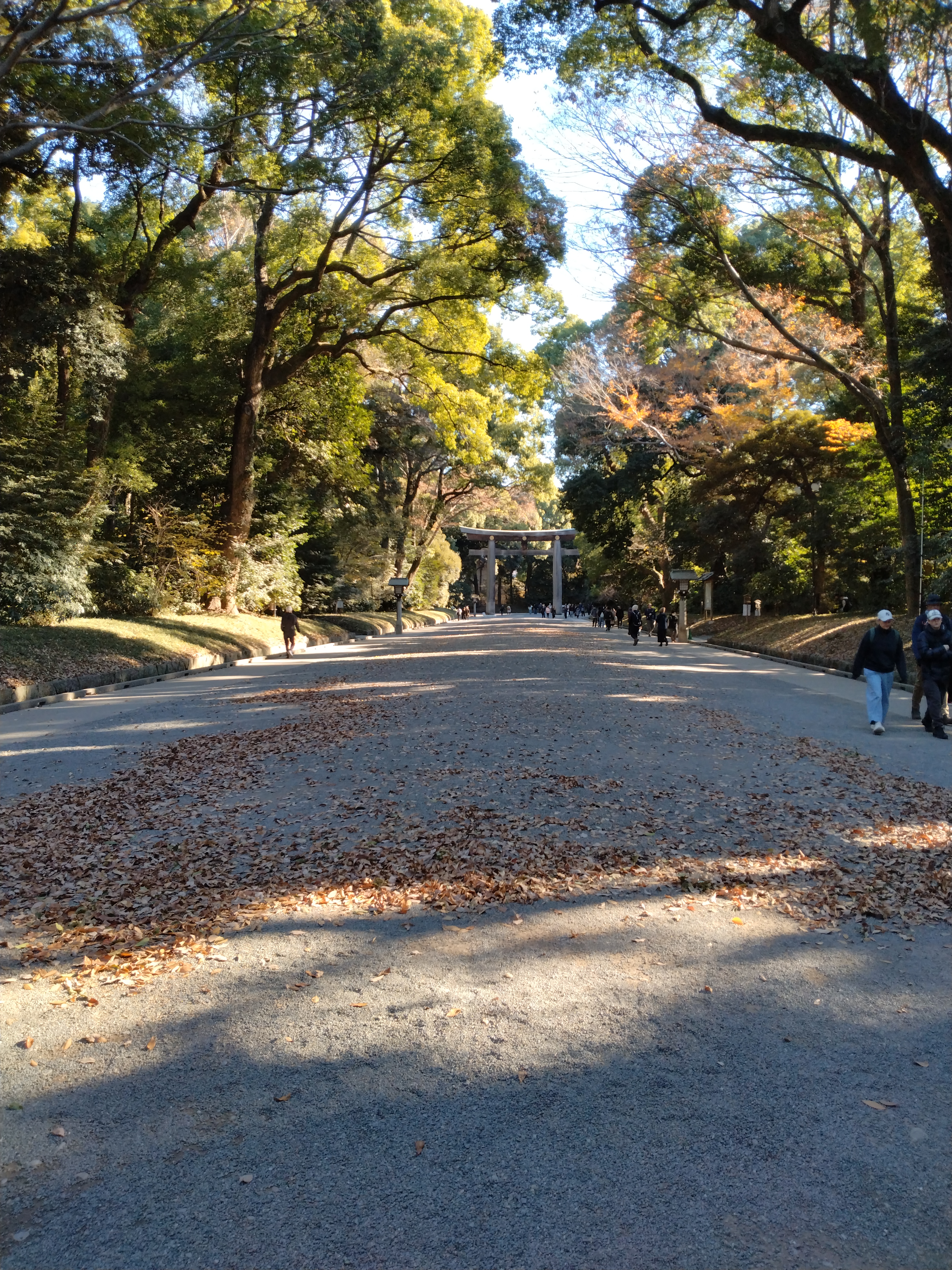川沿いに立ち並ぶビル群が写っています。
