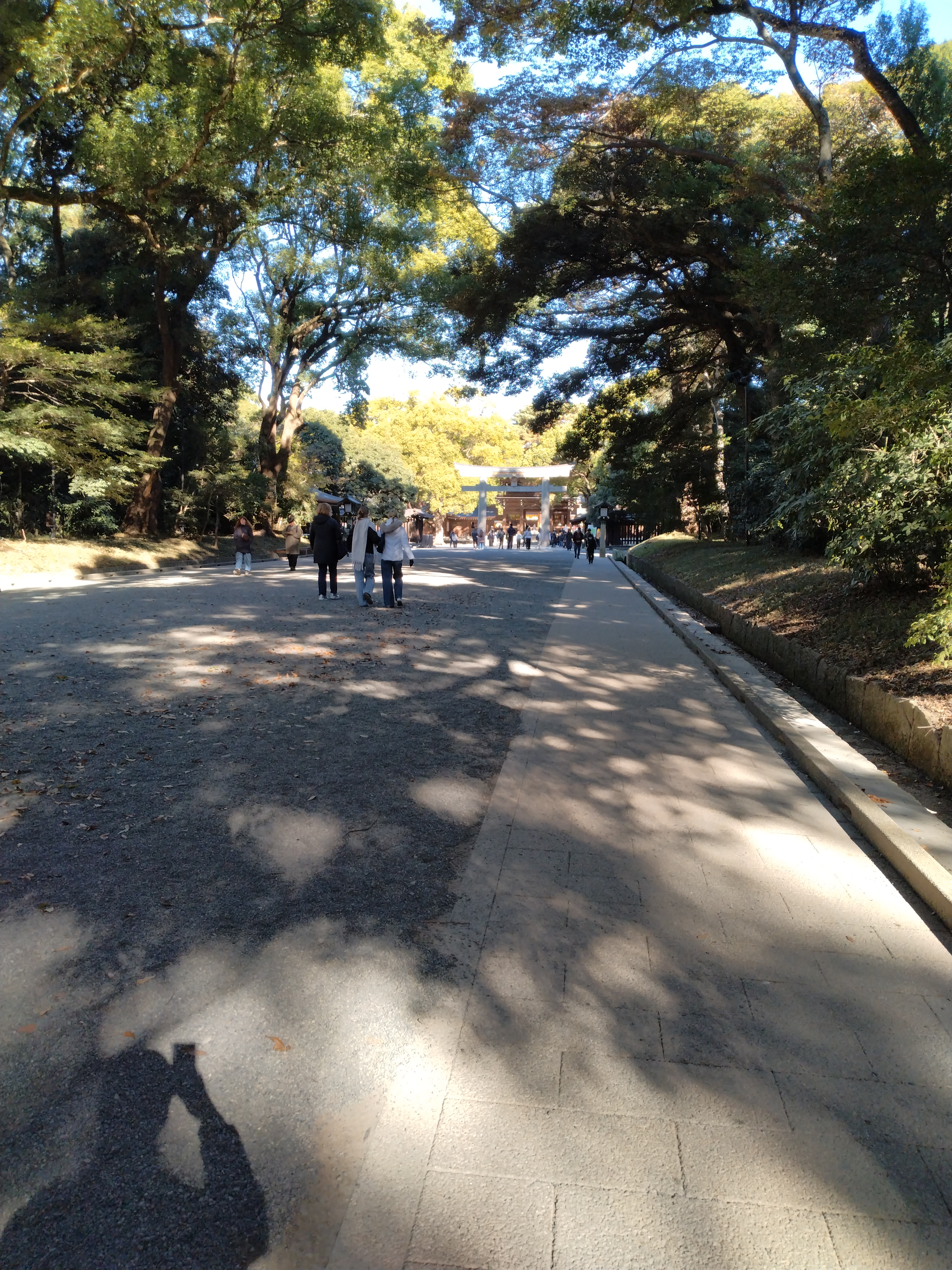 川面にビルが反射して写っています。