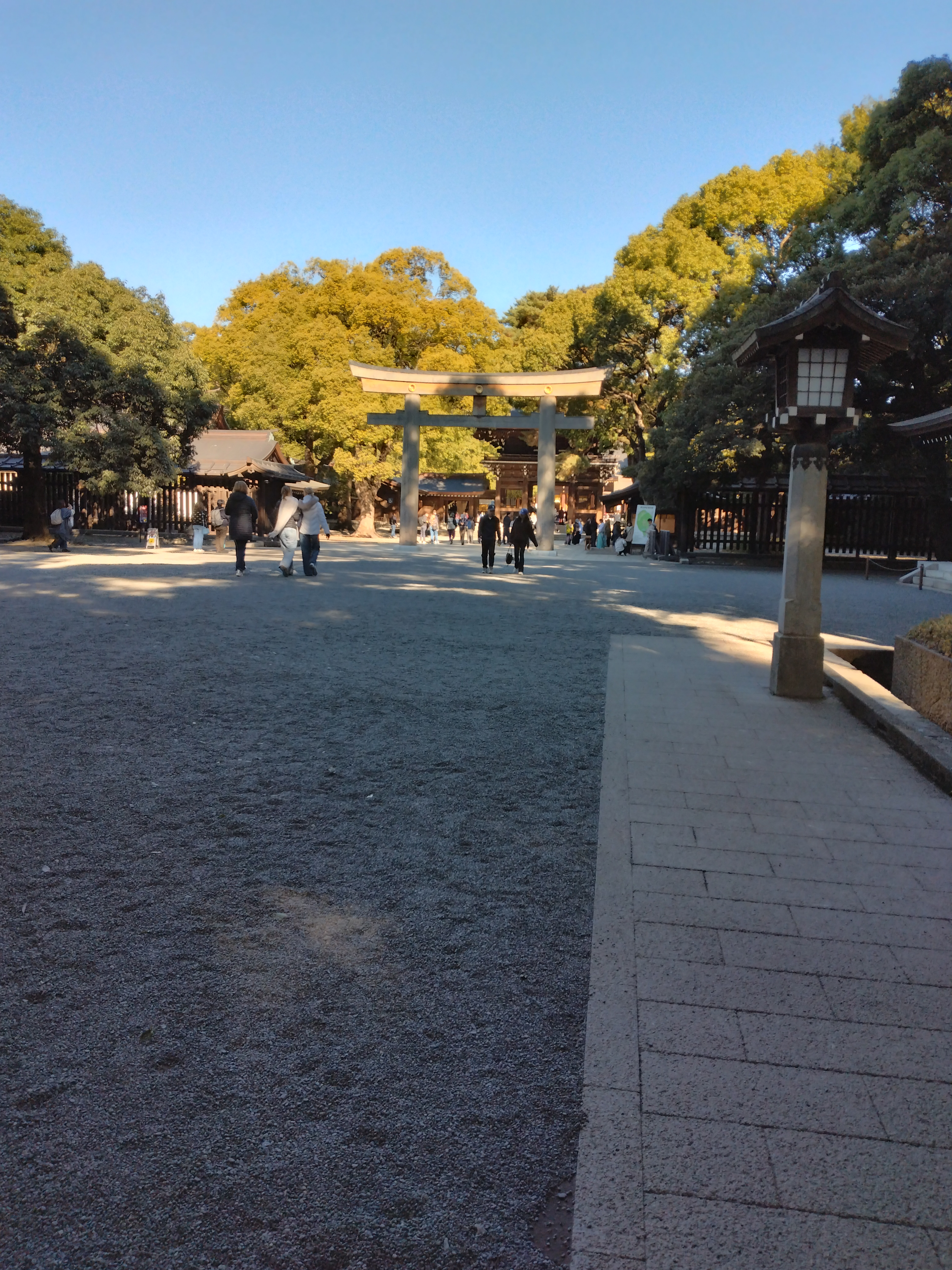 川と街並みが見渡せる景色です。