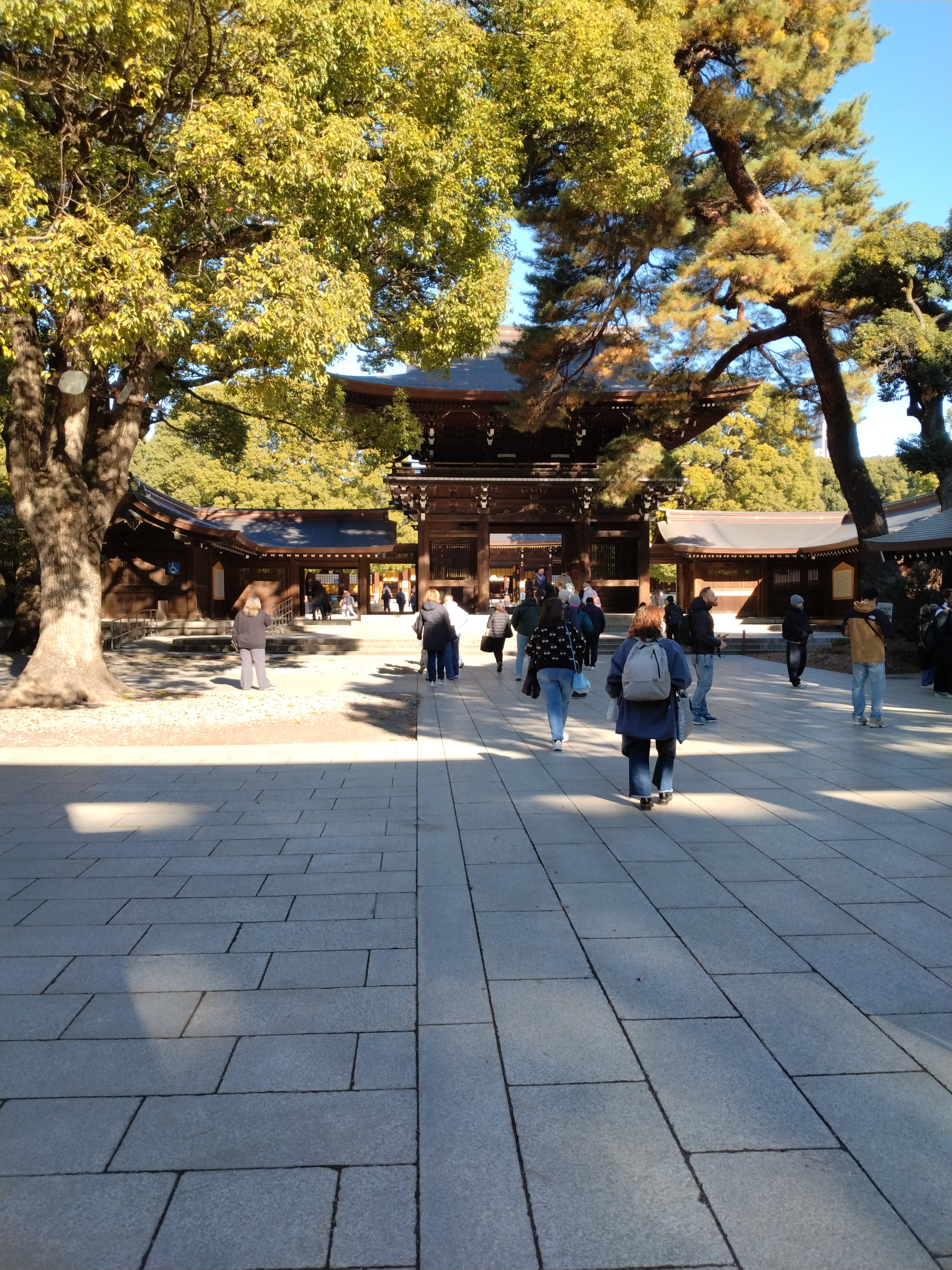 川沿いに続く歩行者用の通路です。