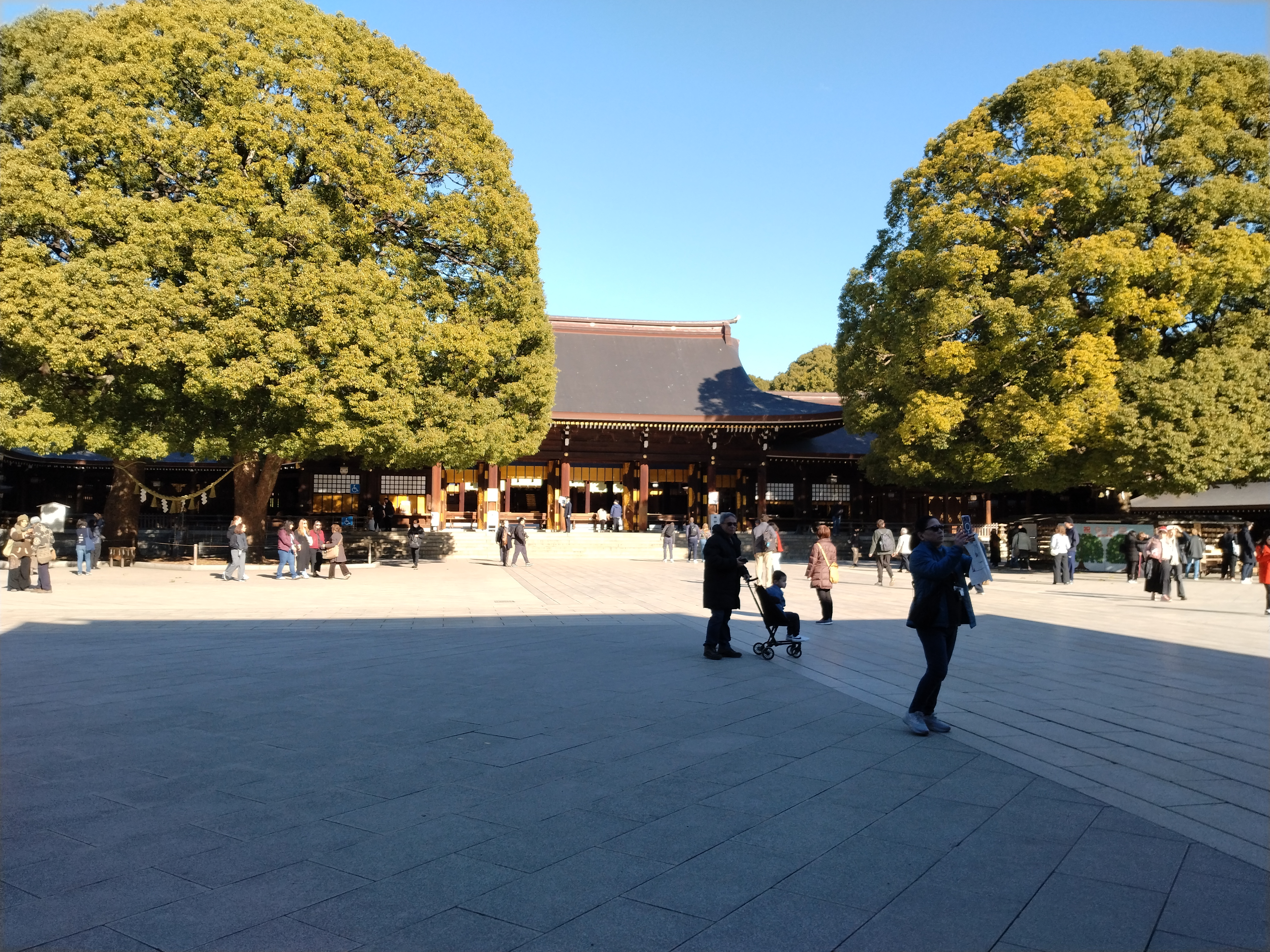日差しの傾いた水辺の風景です。