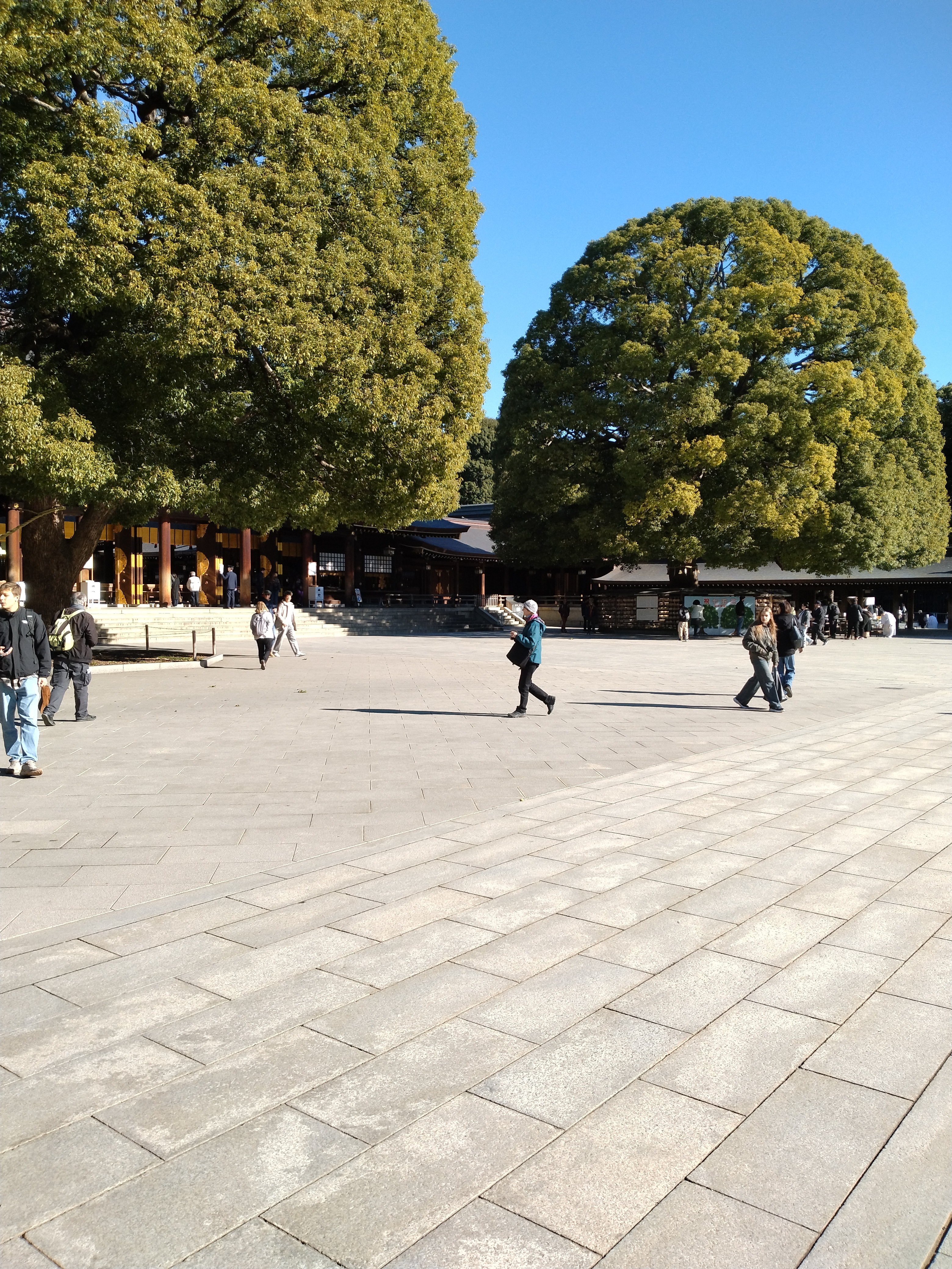 太陽光が強く当たる川沿いです。