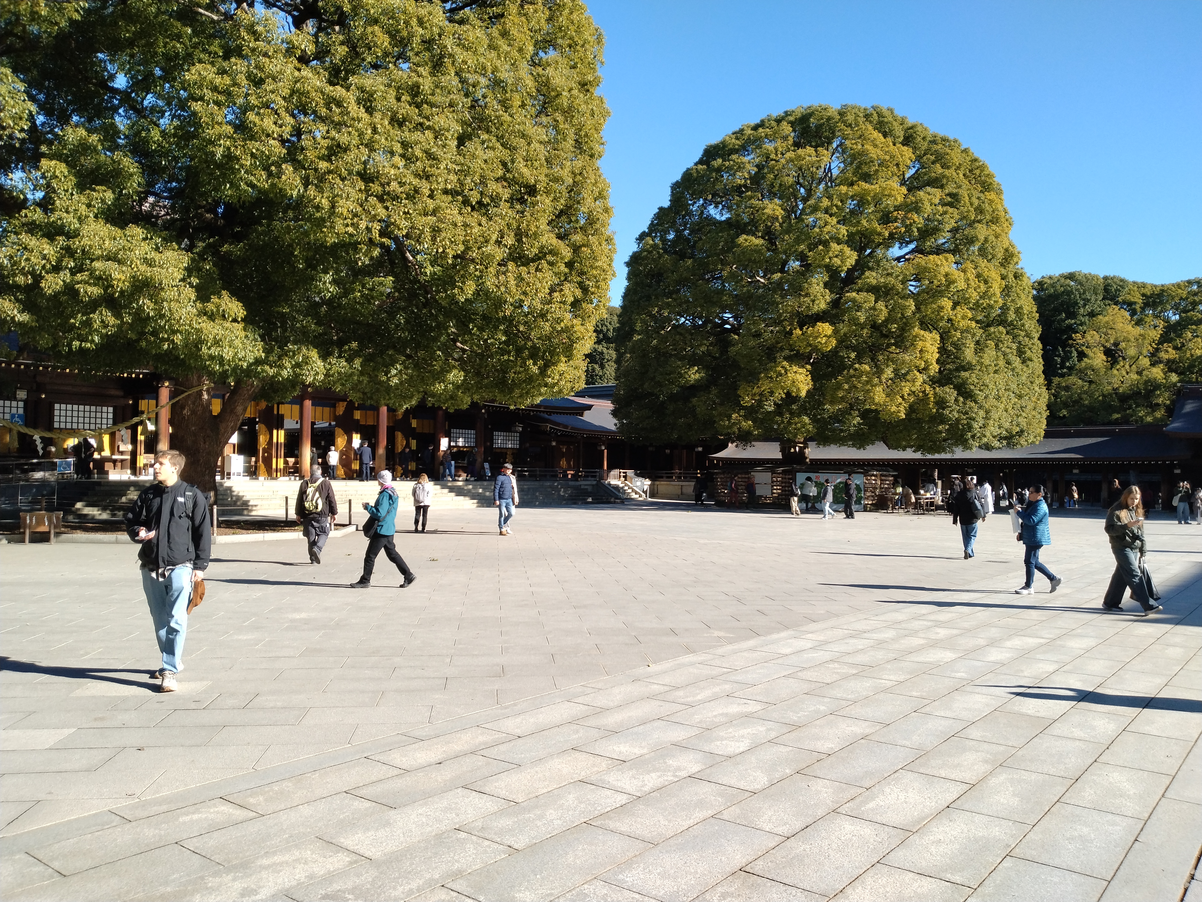 橋脚とその周辺の川が写っています。