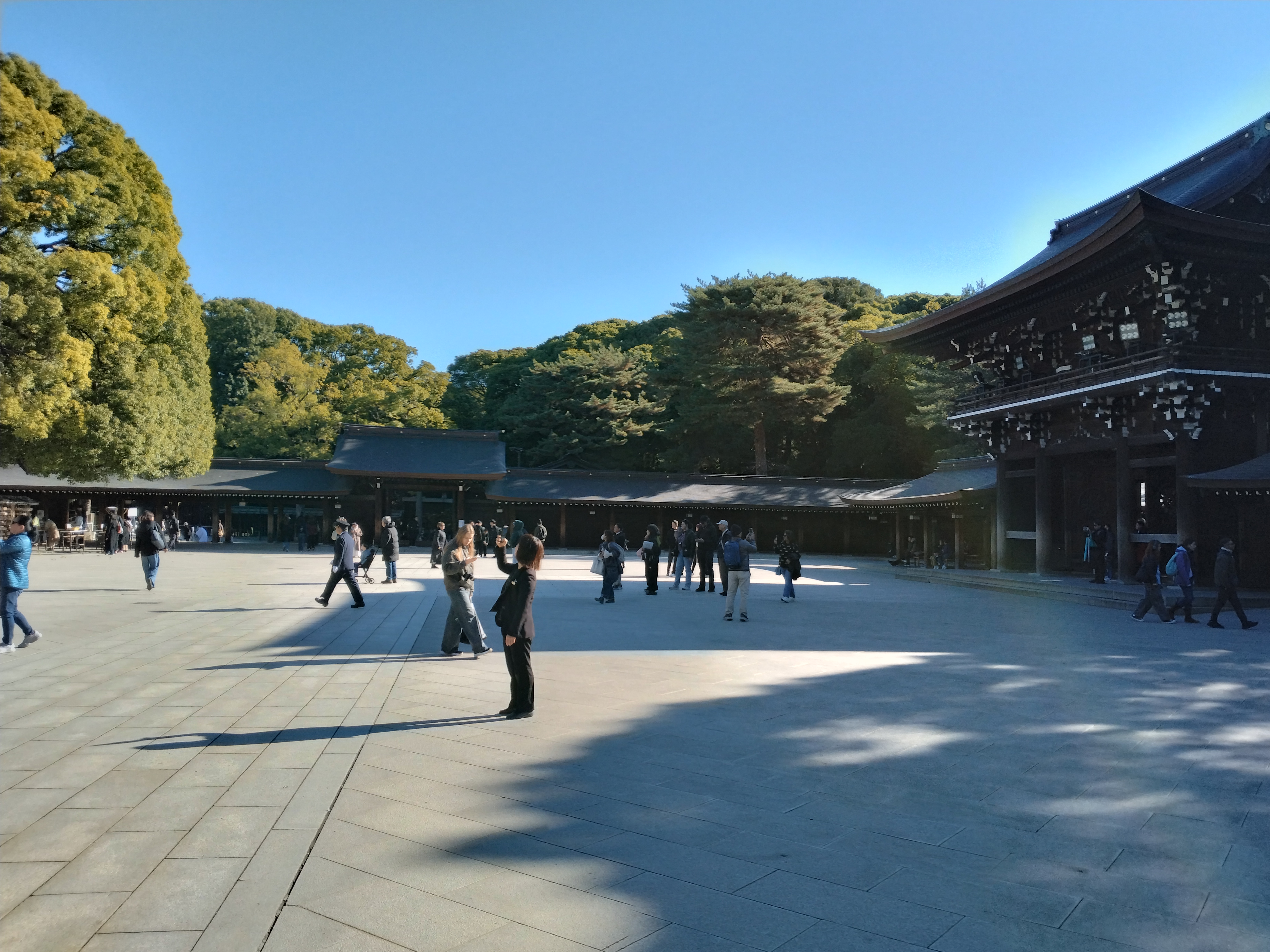 川沿いに木々が並ぶ景色です。