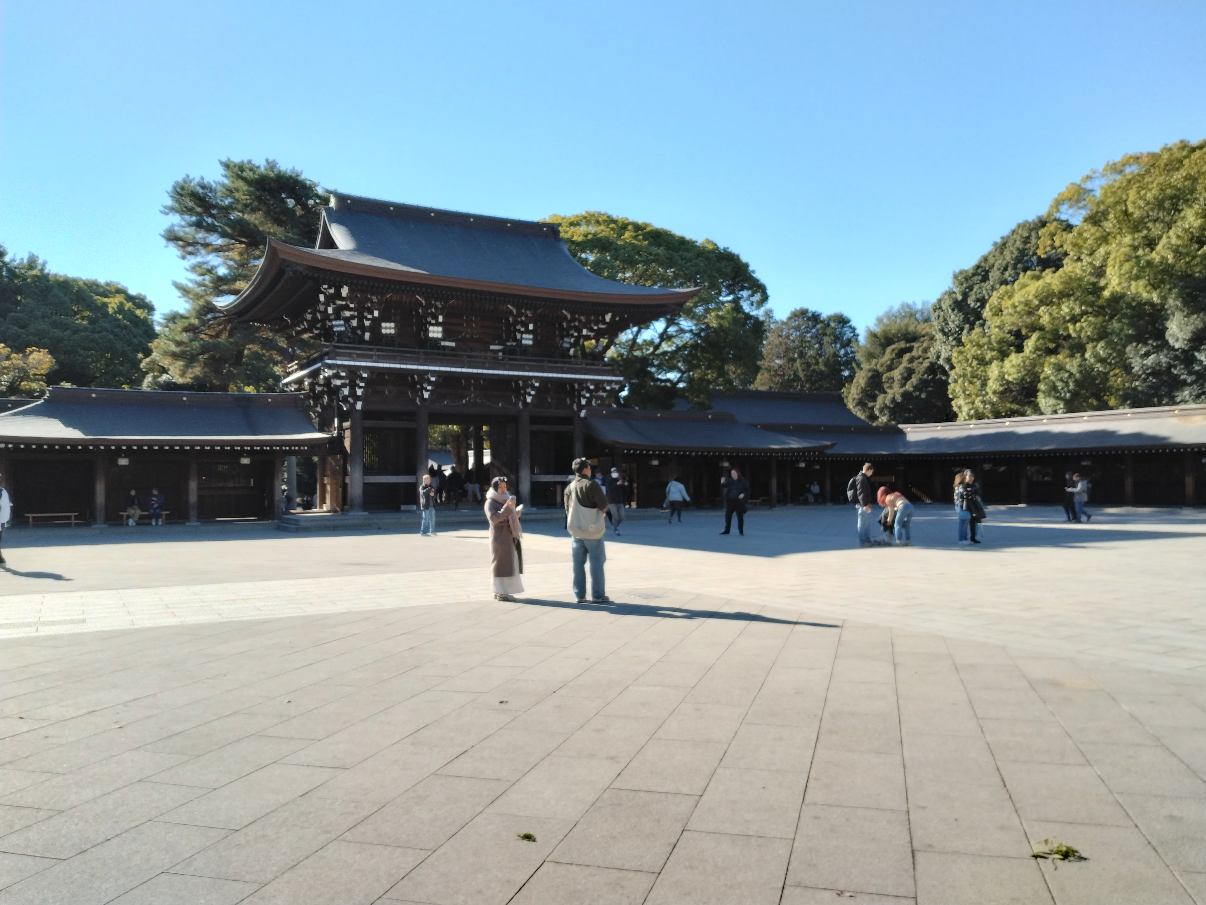 紅葉した木々と川の風景です。