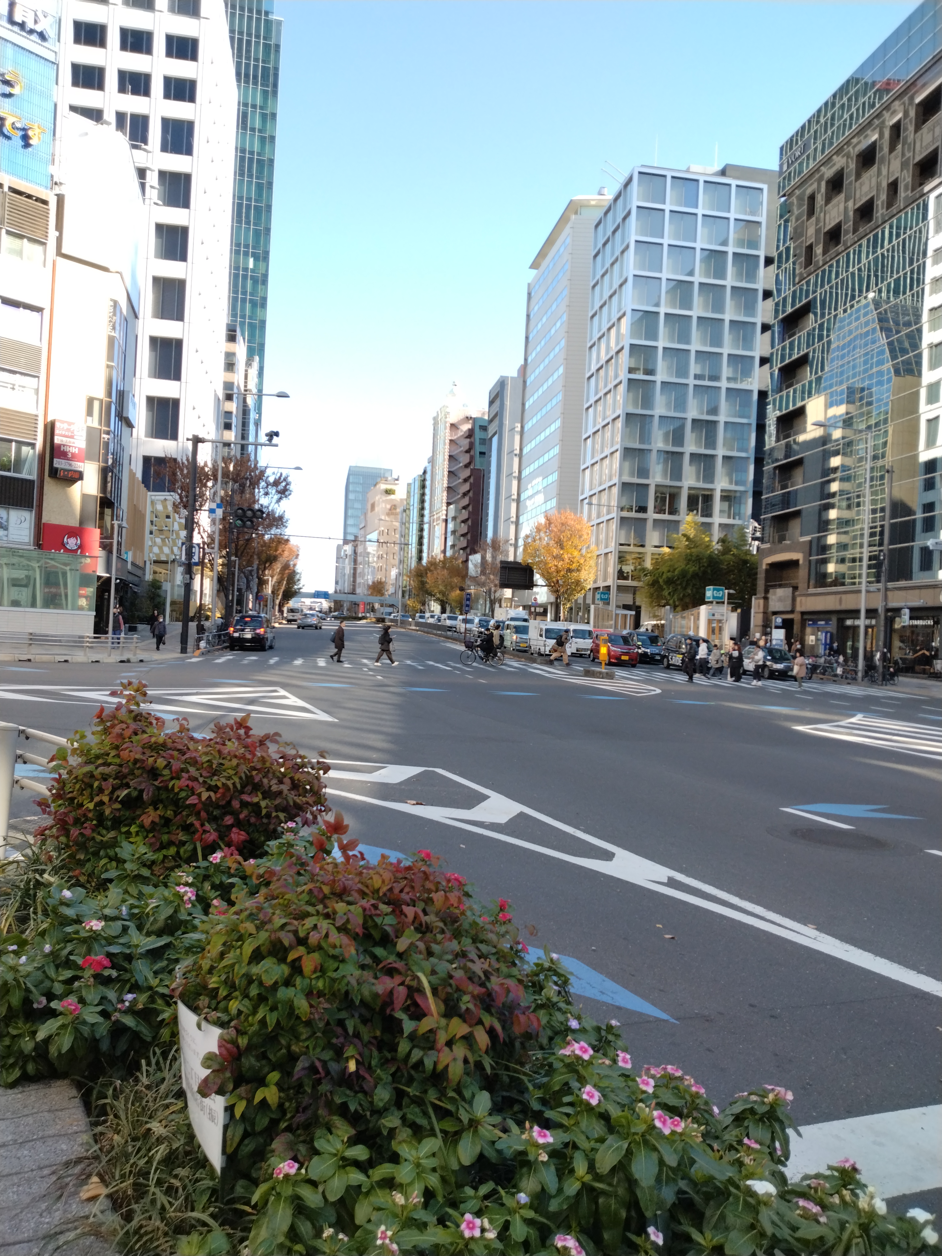 川沿いの開けた青空が写った写真です。