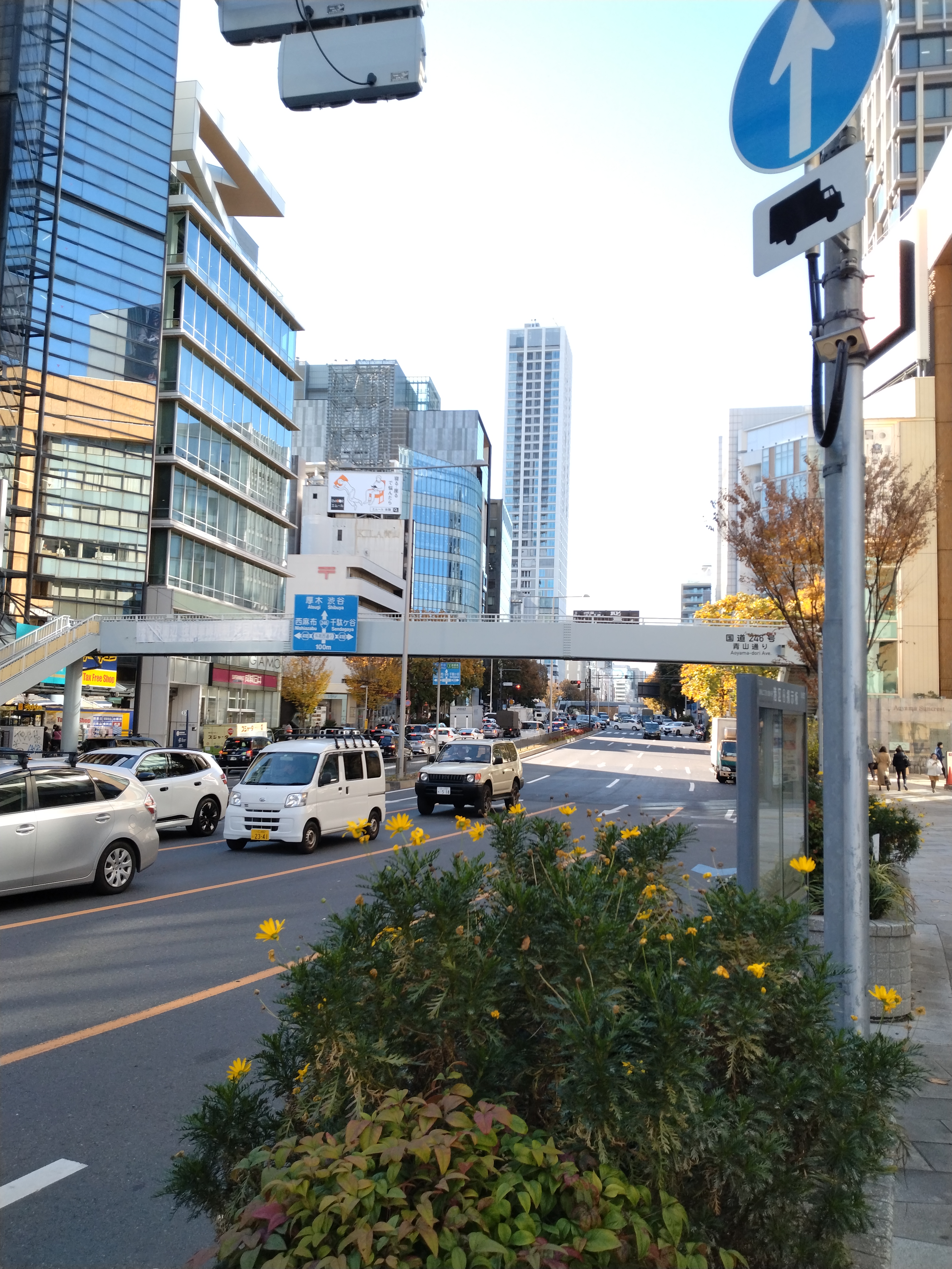 遊歩道が続く穏やかな風景です。