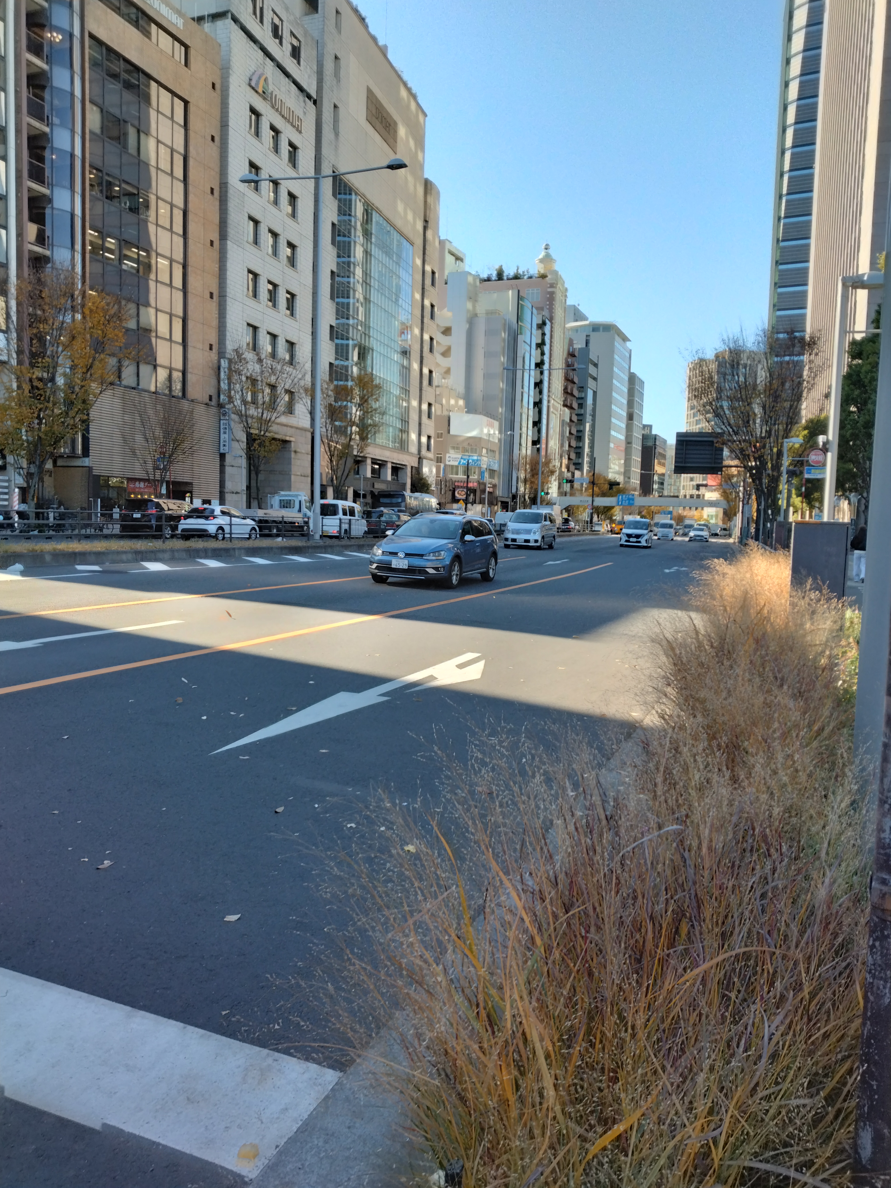 橋脚とその周辺の川の様子です。