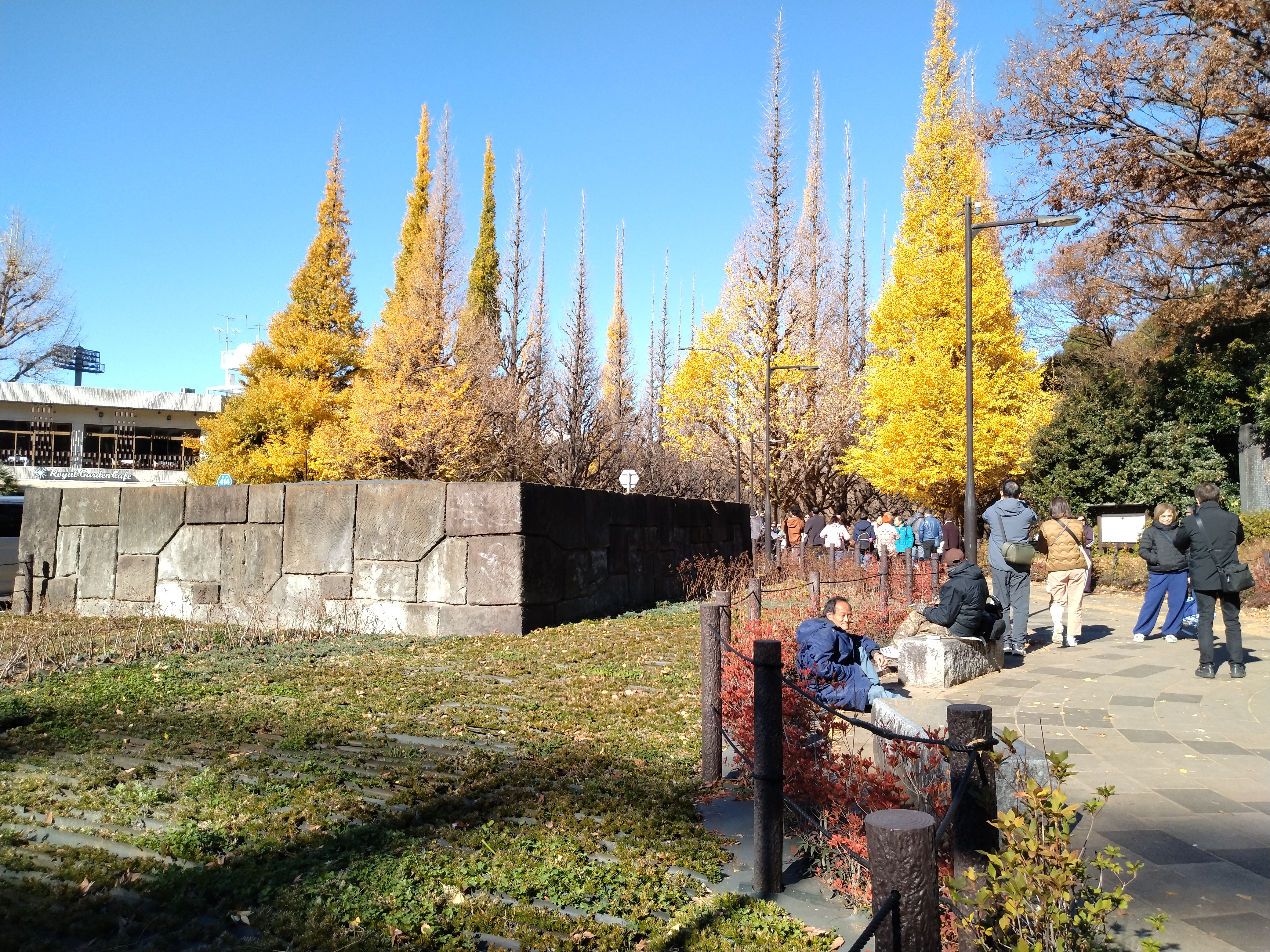 並木に囲まれた分岐点です。