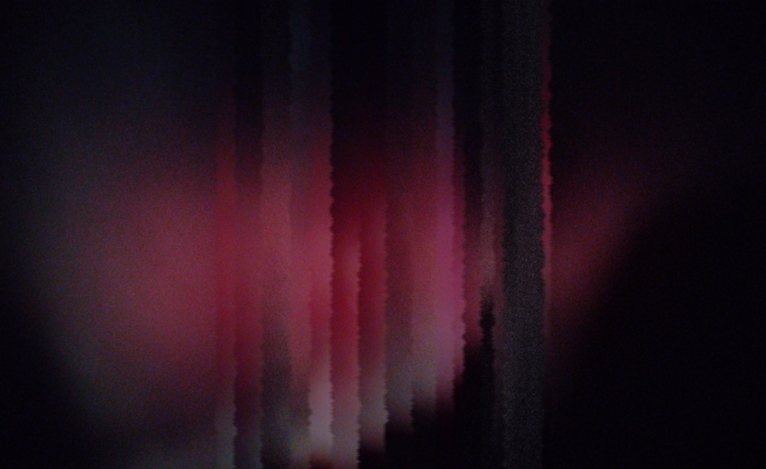 木々に囲まれた坂道風景です。