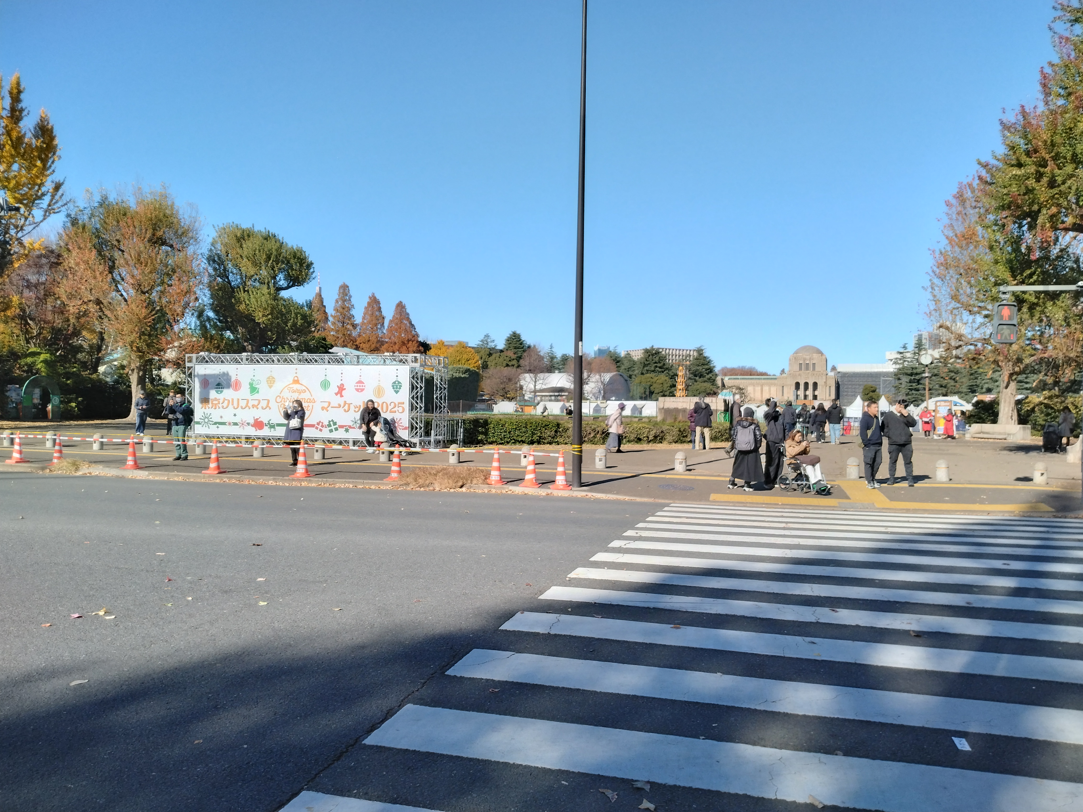 大きな木と広場が写っています。