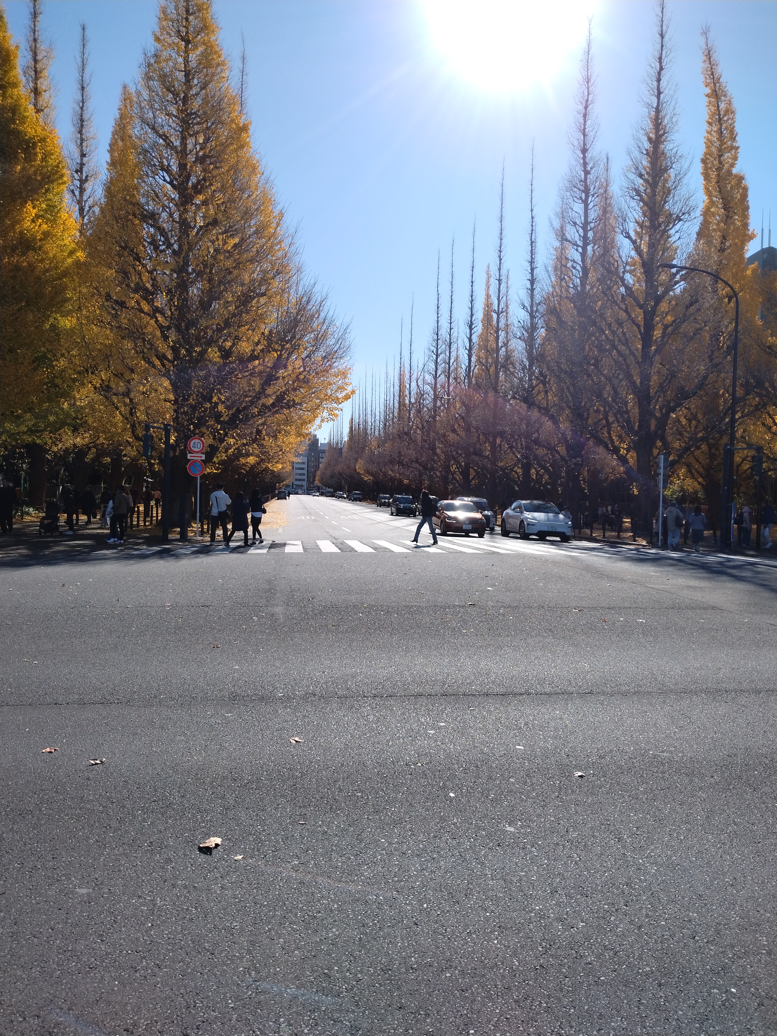 公園から住宅街方向を見た風景です。