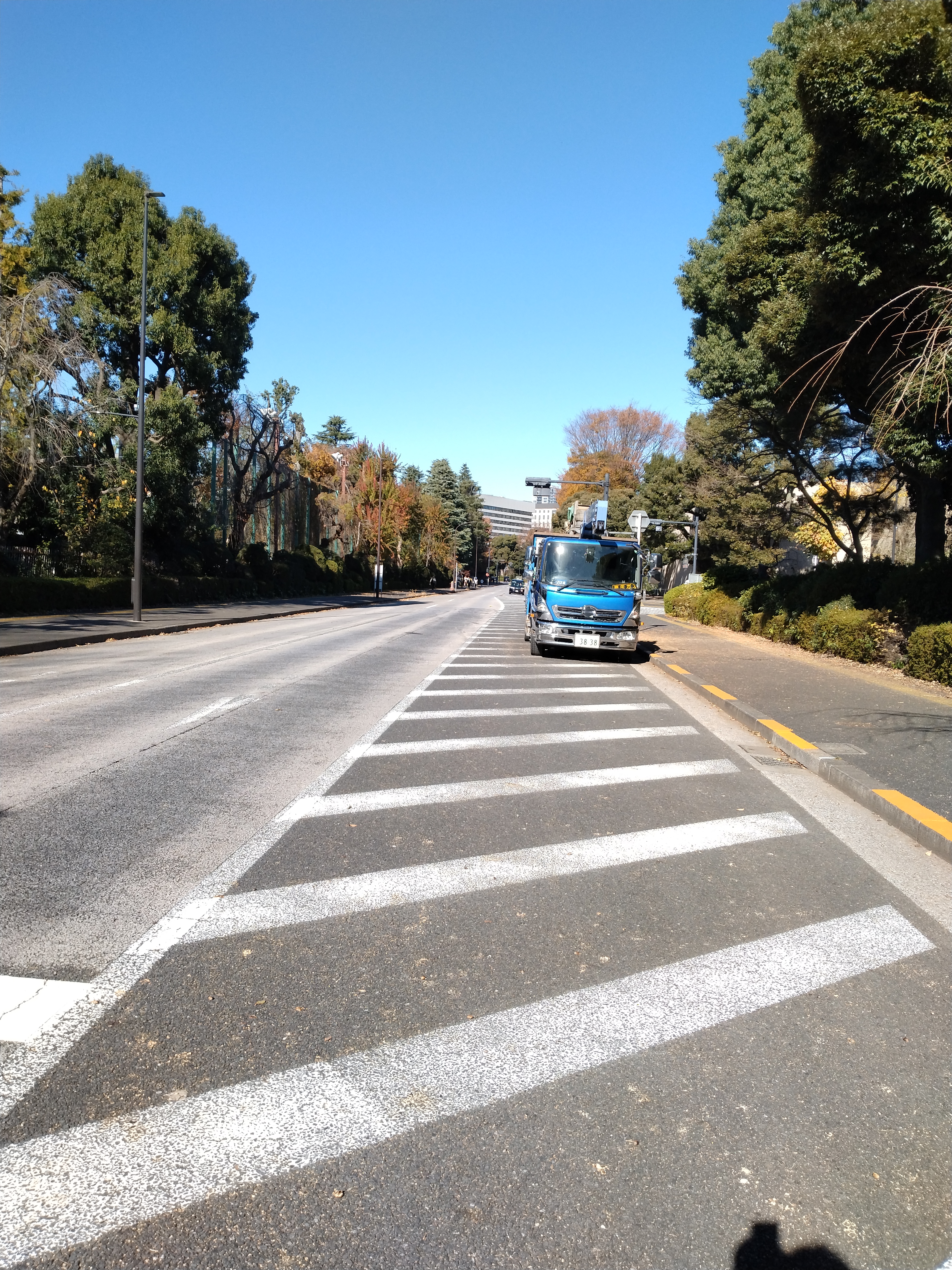 ビル街にある横断歩道です。