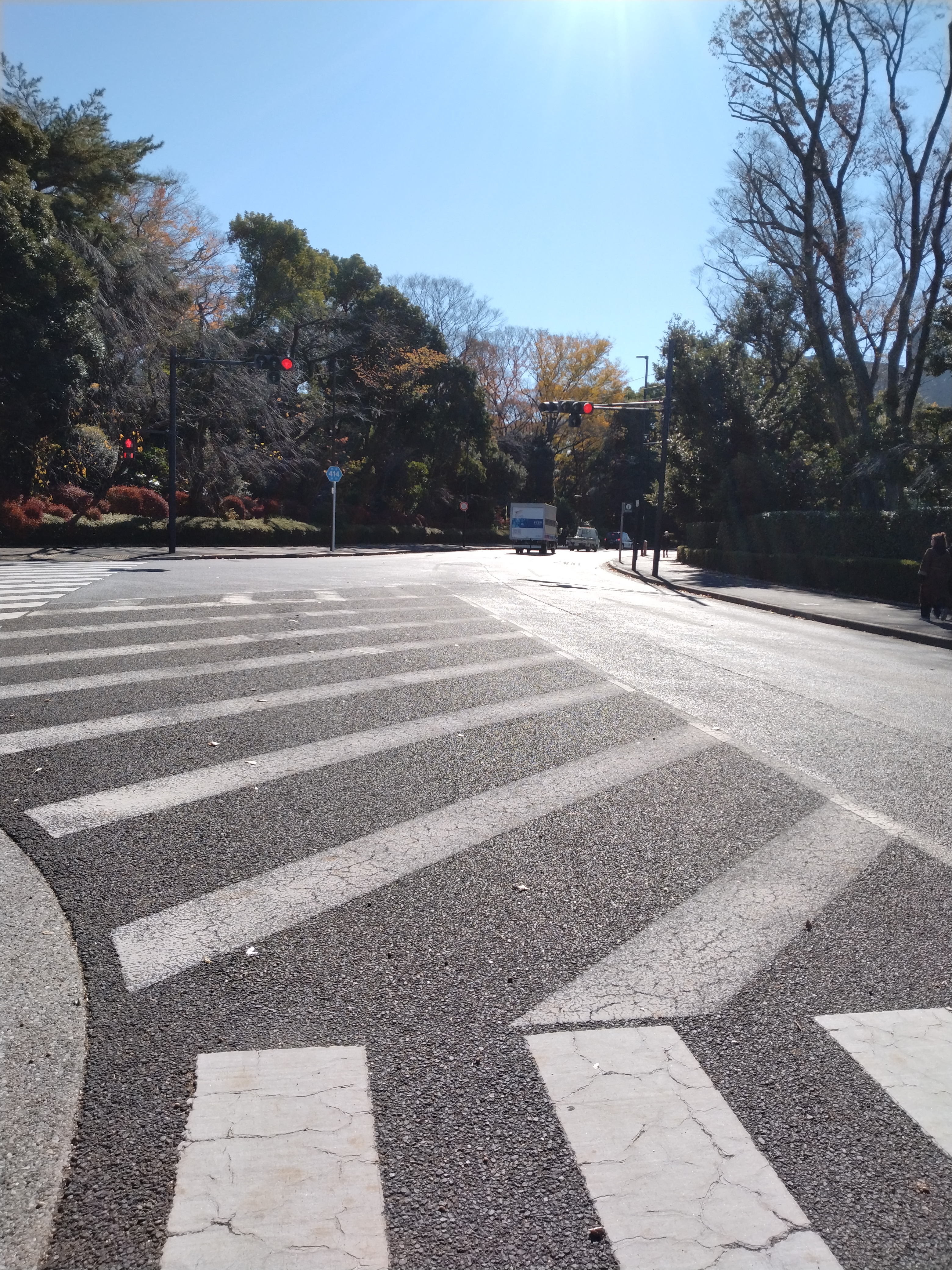 ビルに囲まれた交差点近くの歩道です。