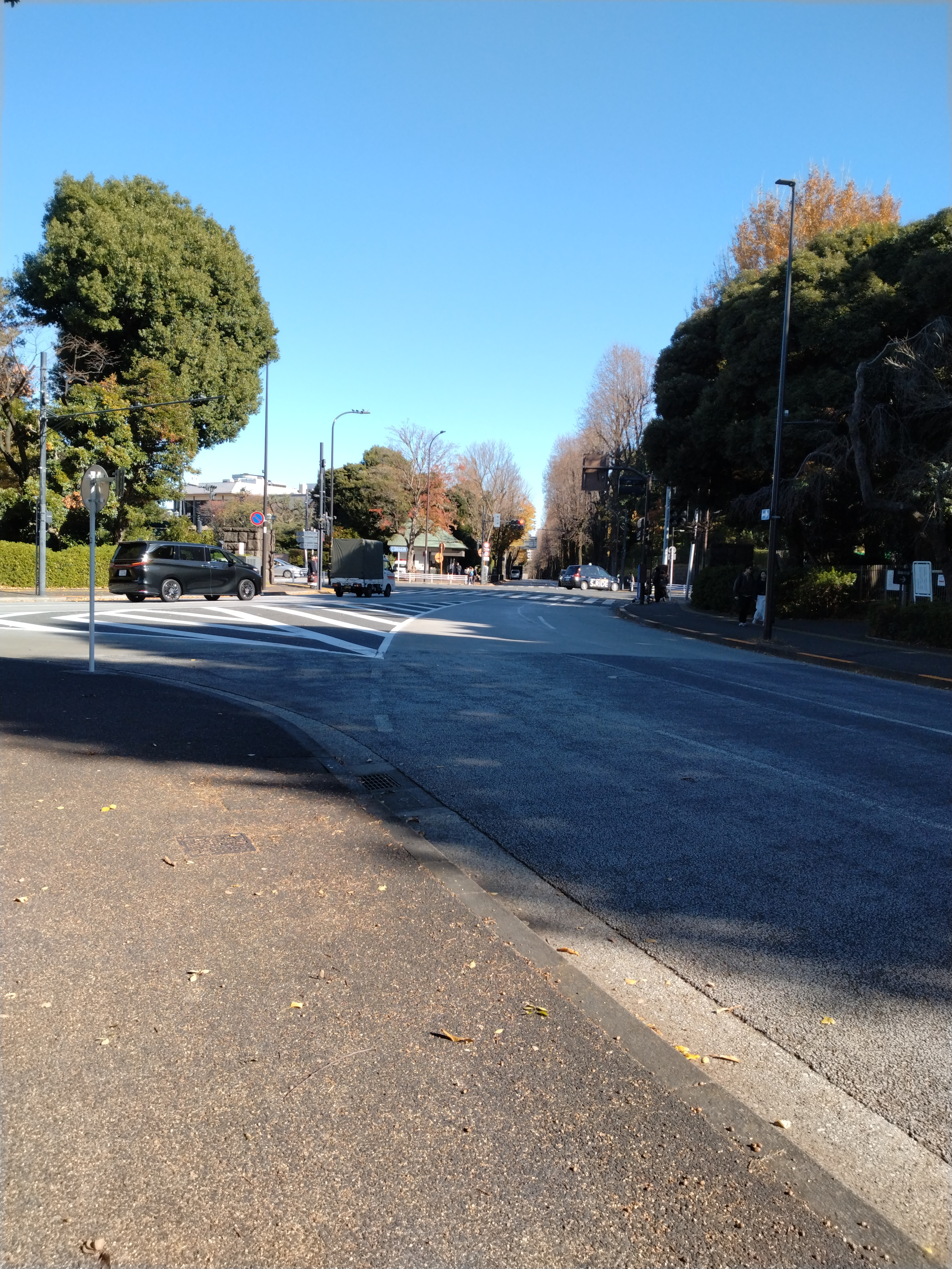 整備された横断歩道と高層ビルが写っています。