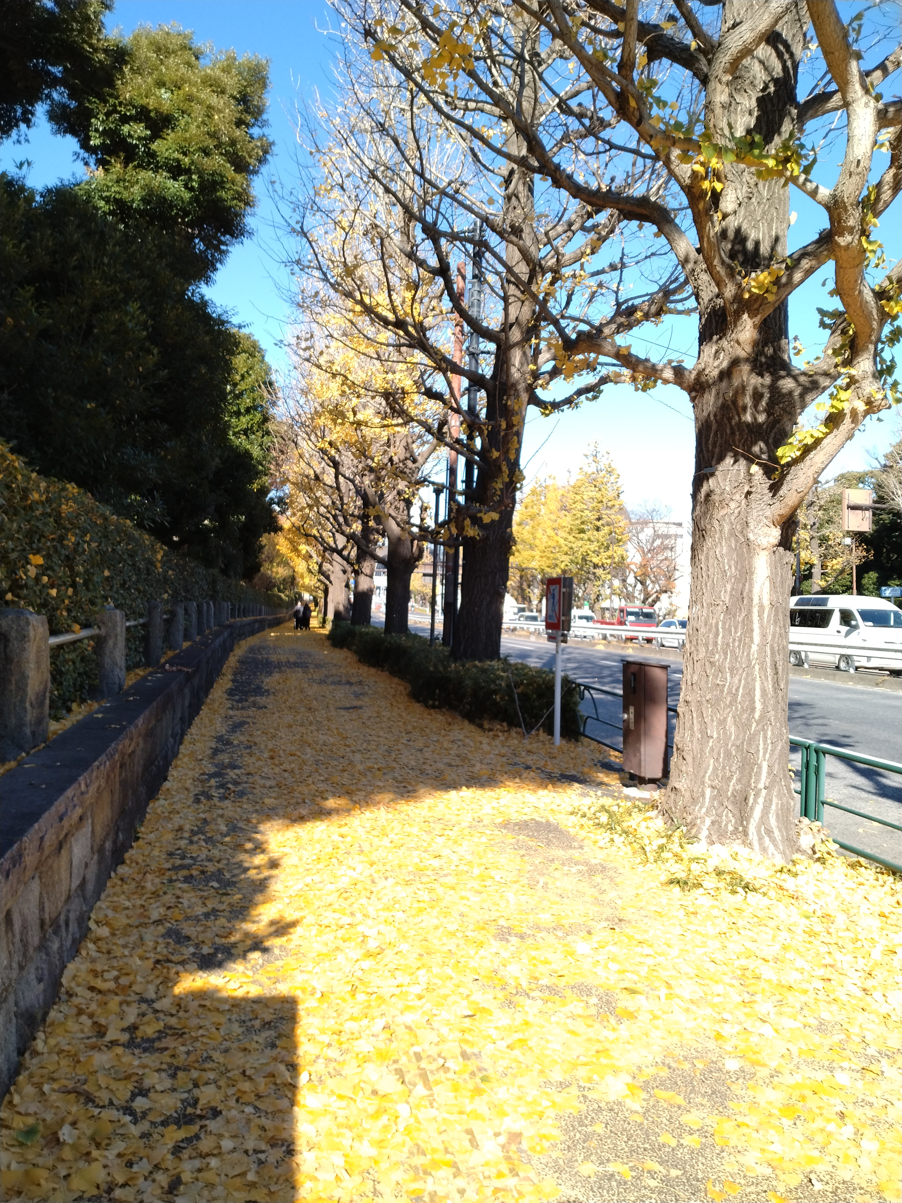 道路沿いに高層ビルが立ち並ぶ風景です。