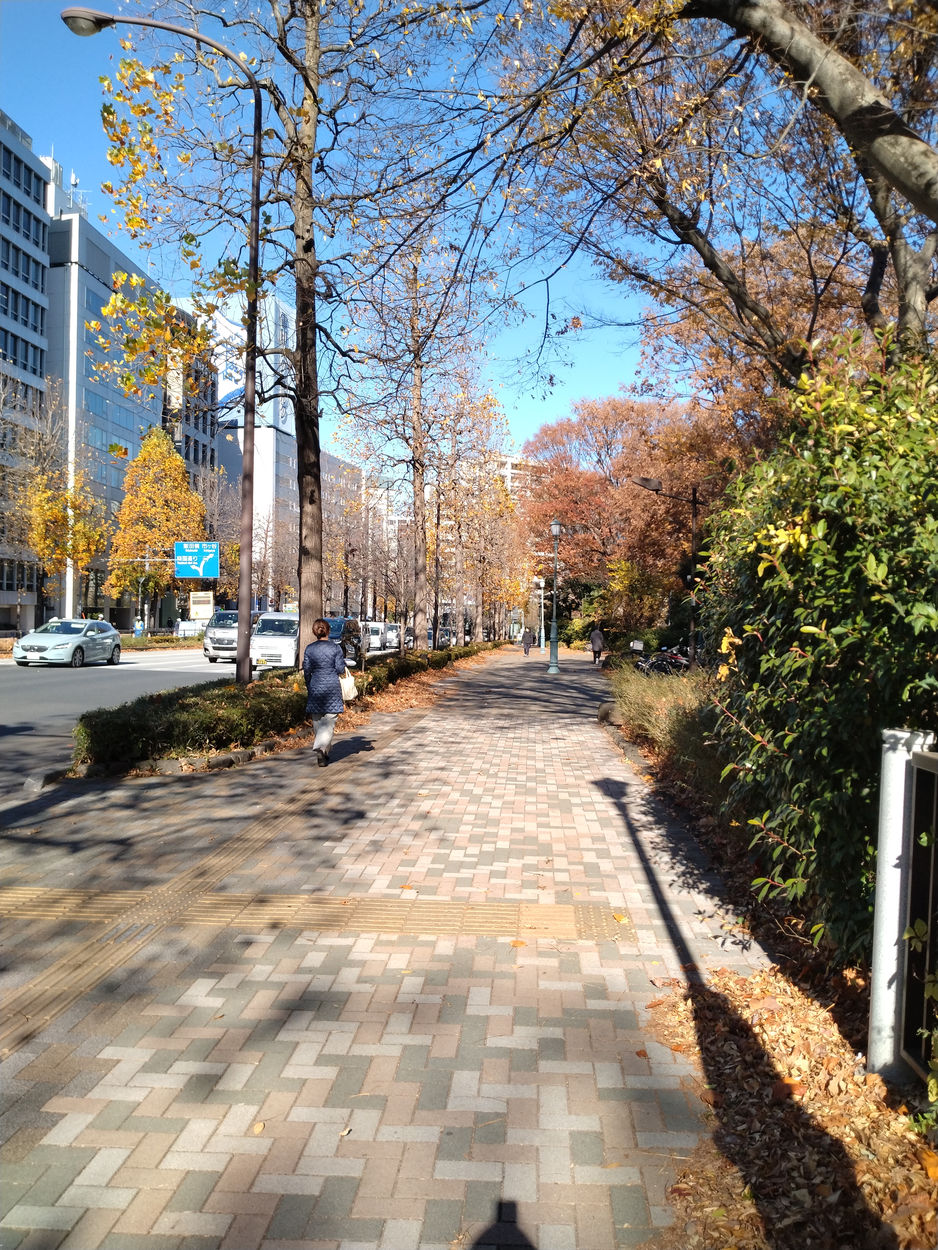 広い横断歩道の風景です。