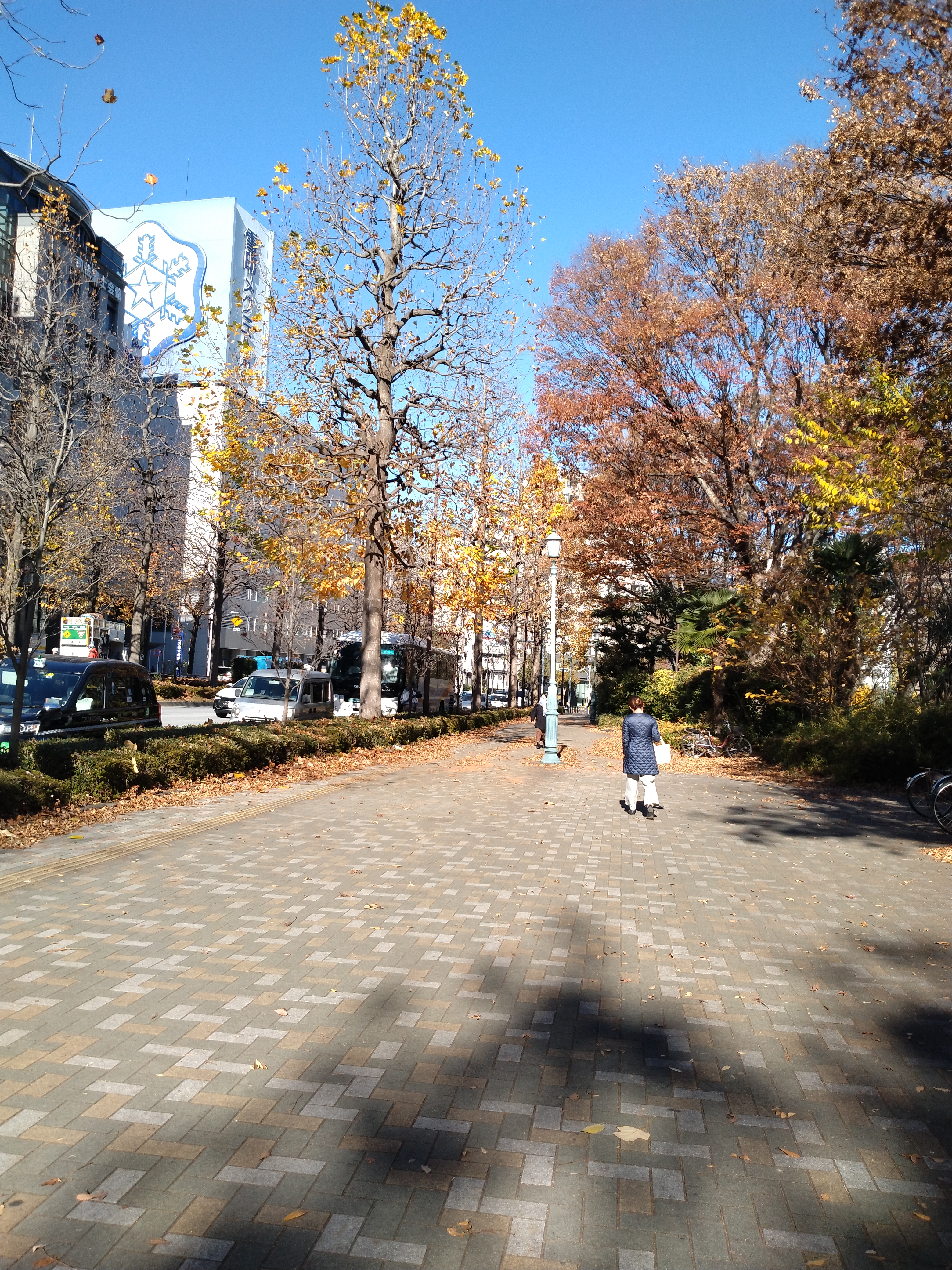 逆光で照らされた都市道路の様子です。