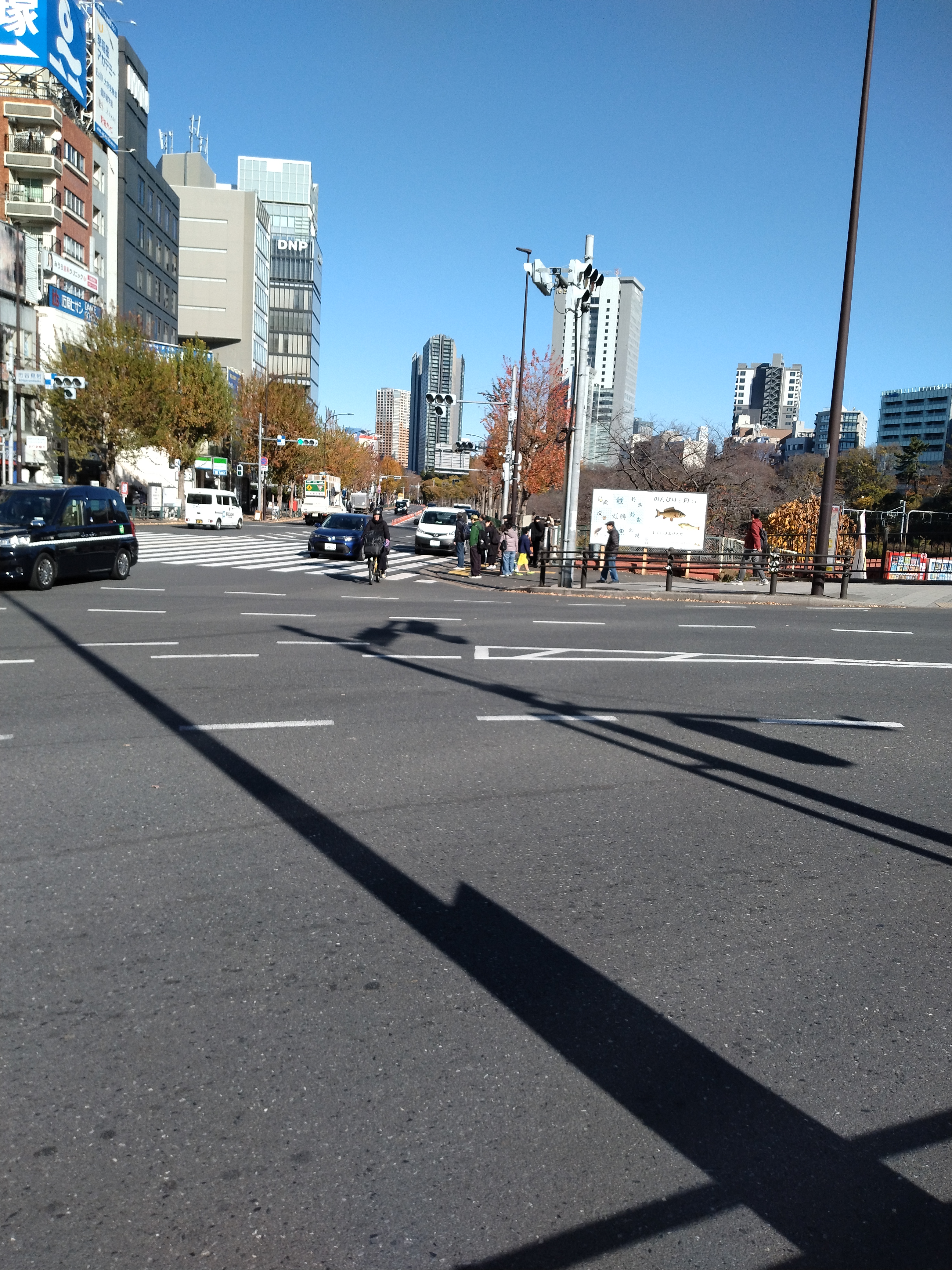 水辺越しにビル群が見える景色です。