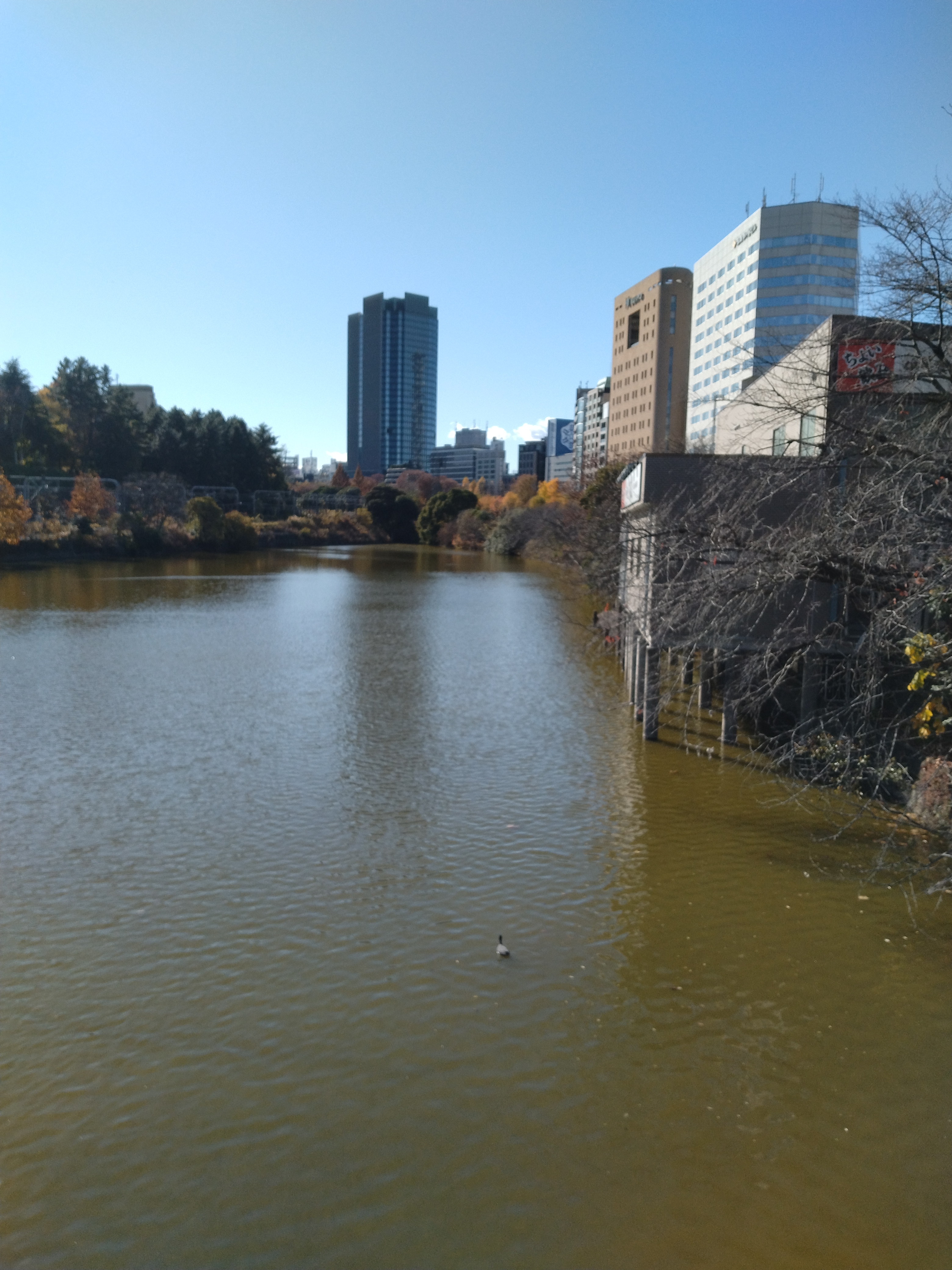 橋の歩道部分が写っています。