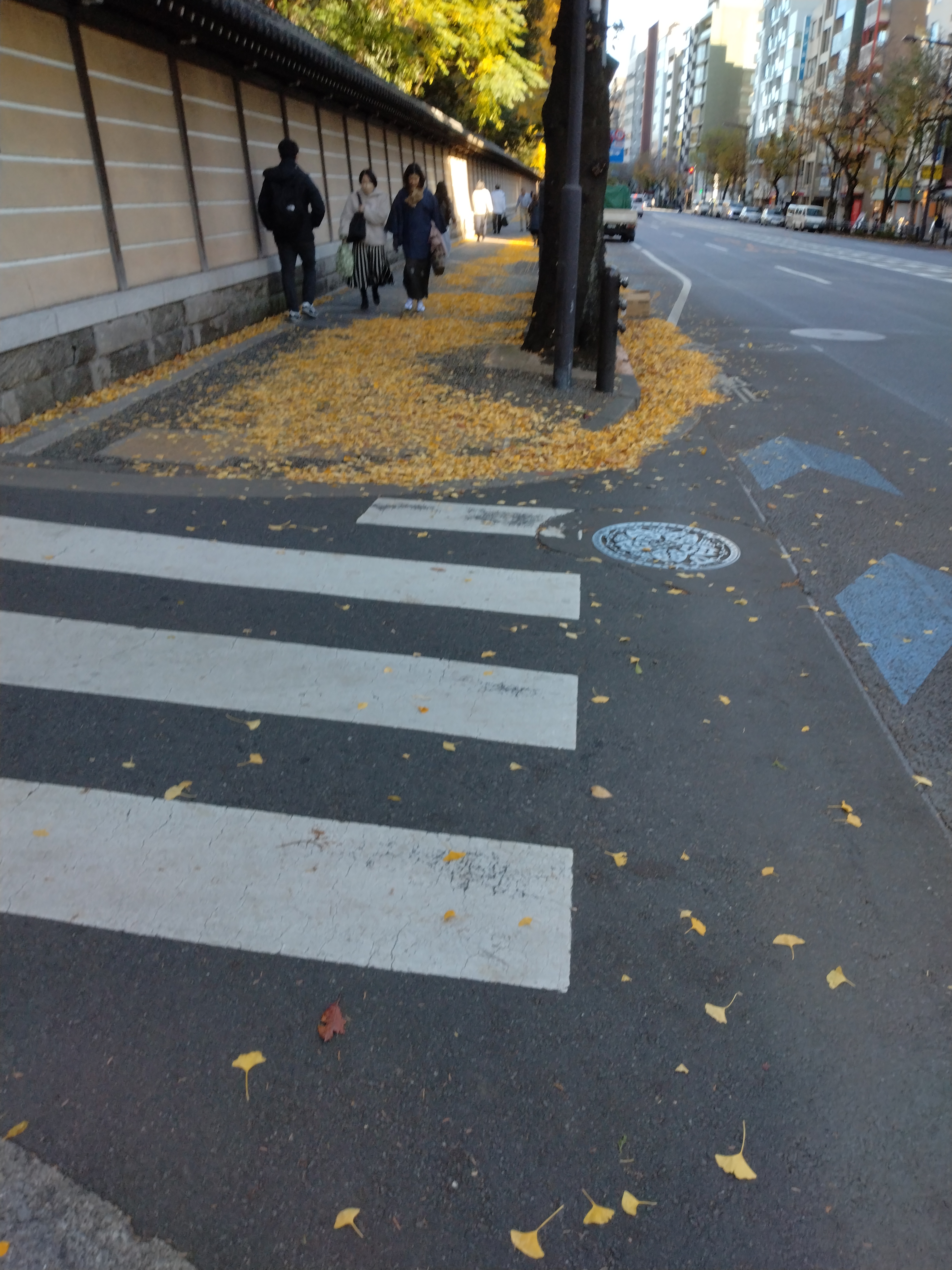 整った交差点と街並みです。