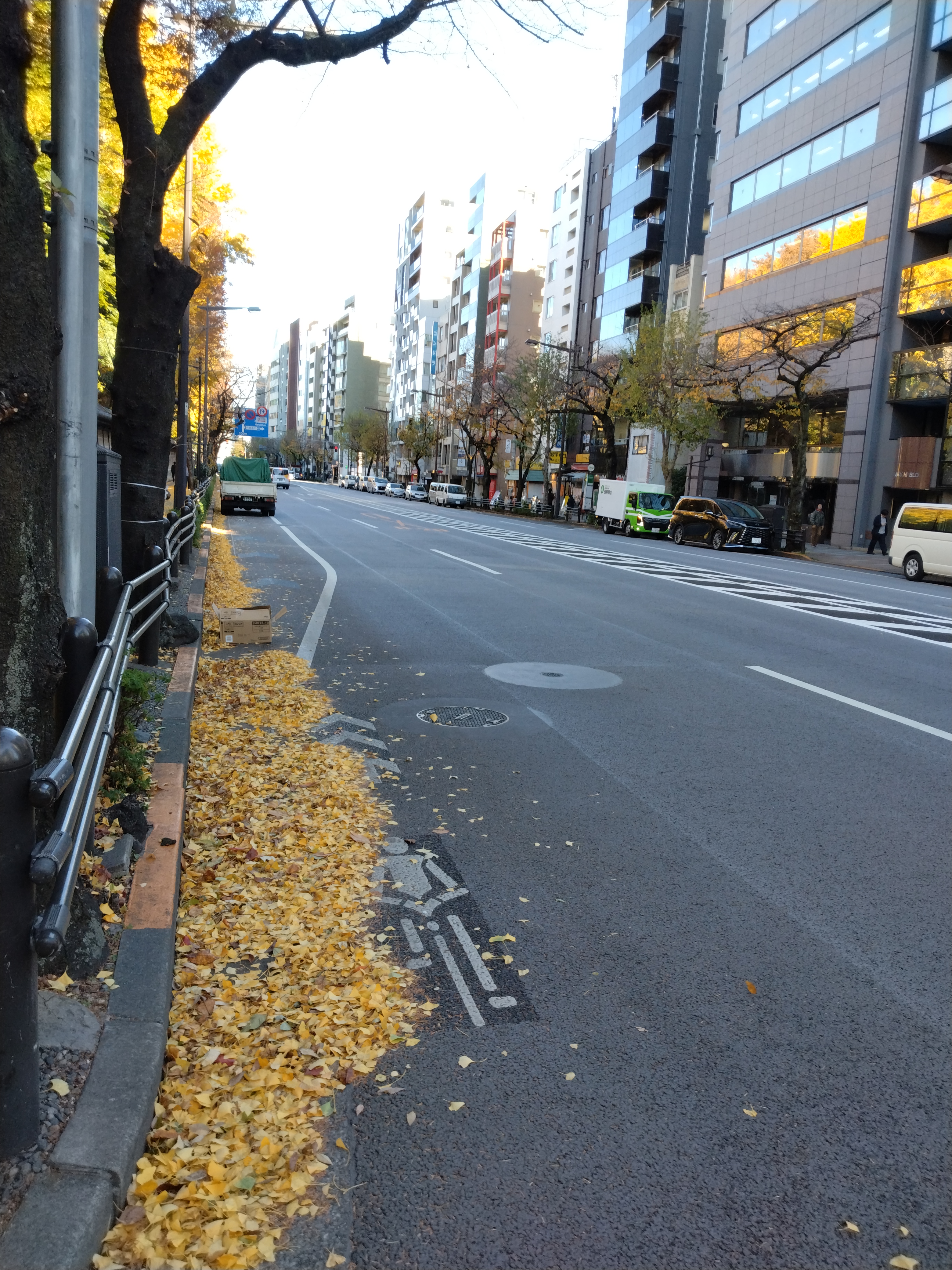 歩道と横断歩道の整った景観です。