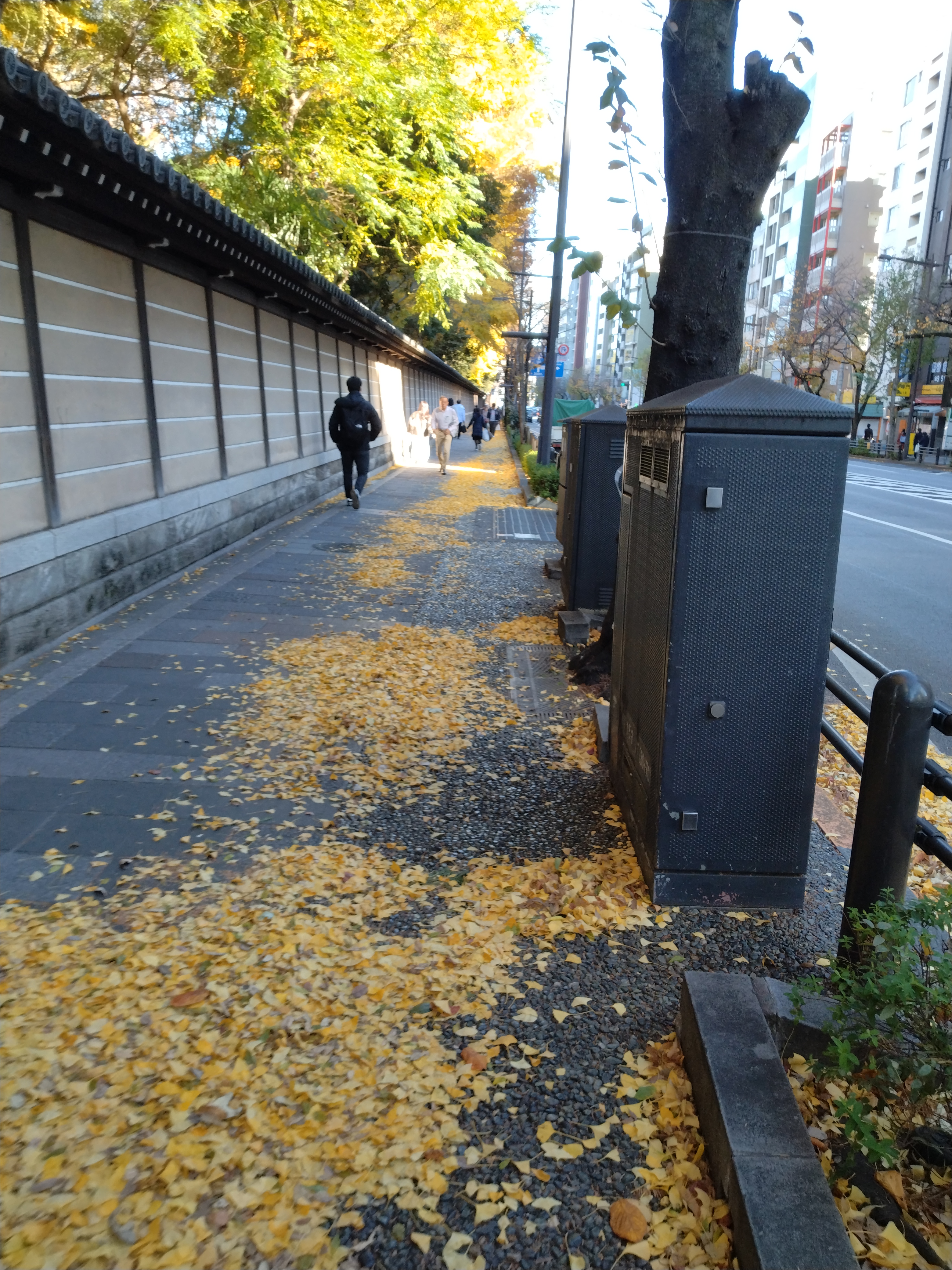 幅の広い歩道とビルの並びが写っています。