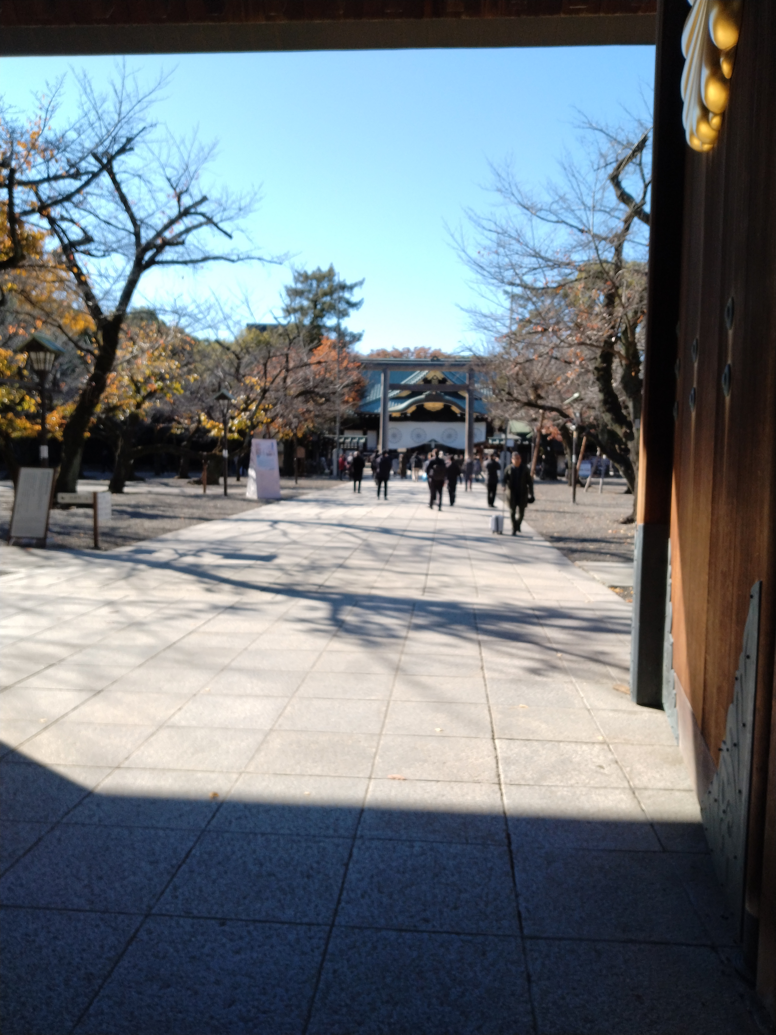 広場と周囲の木々の風景です。